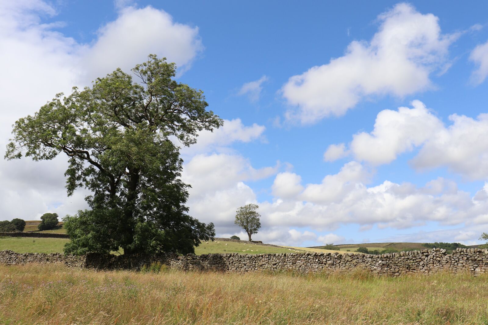 Canon EOS 77D (EOS 9000D / EOS 770D) sample photo. Hike, yorkshire, dales photography