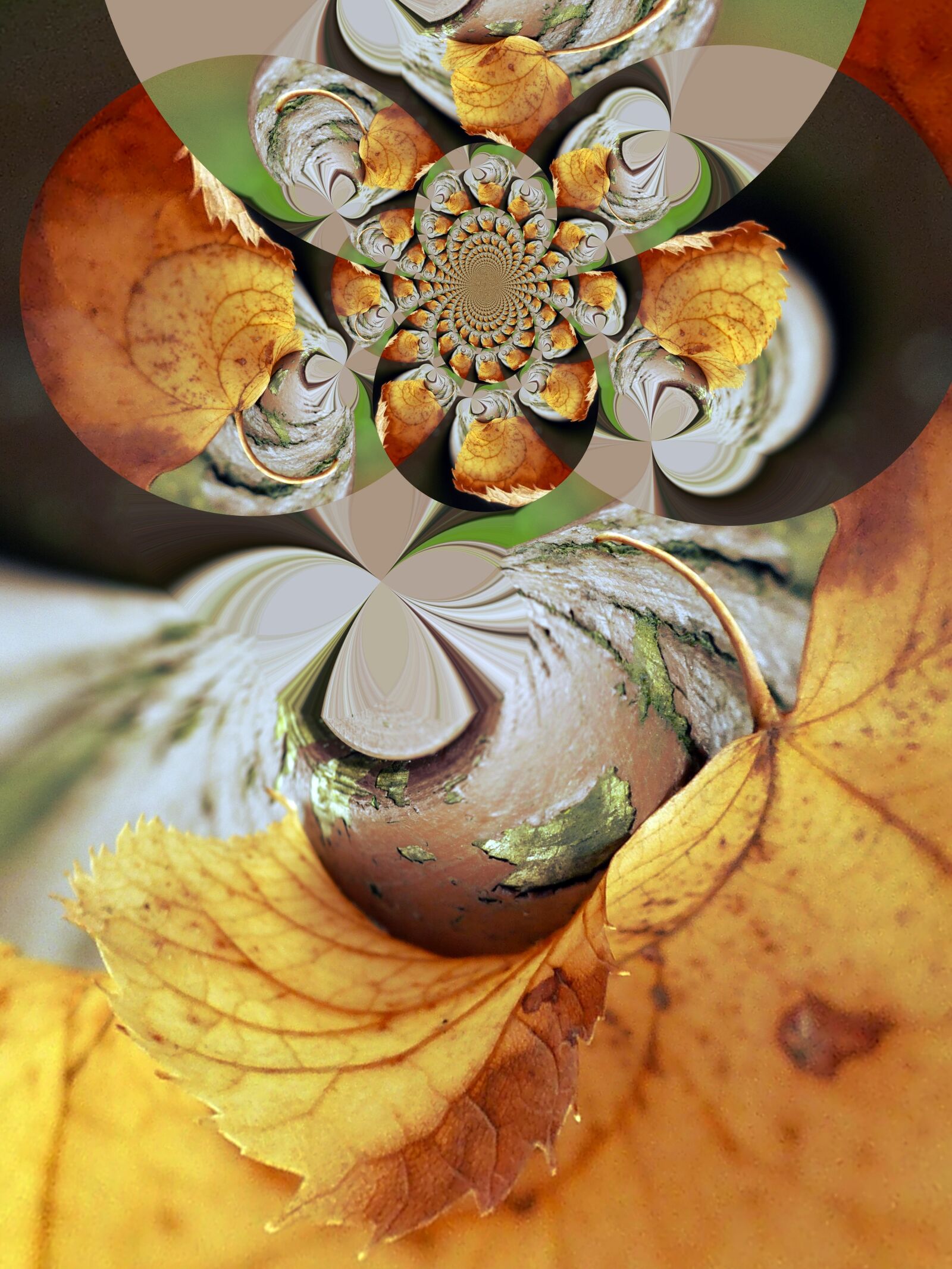 Panasonic Lumix DMC-FZ200 sample photo. Abstract, leaf, fantasy photography