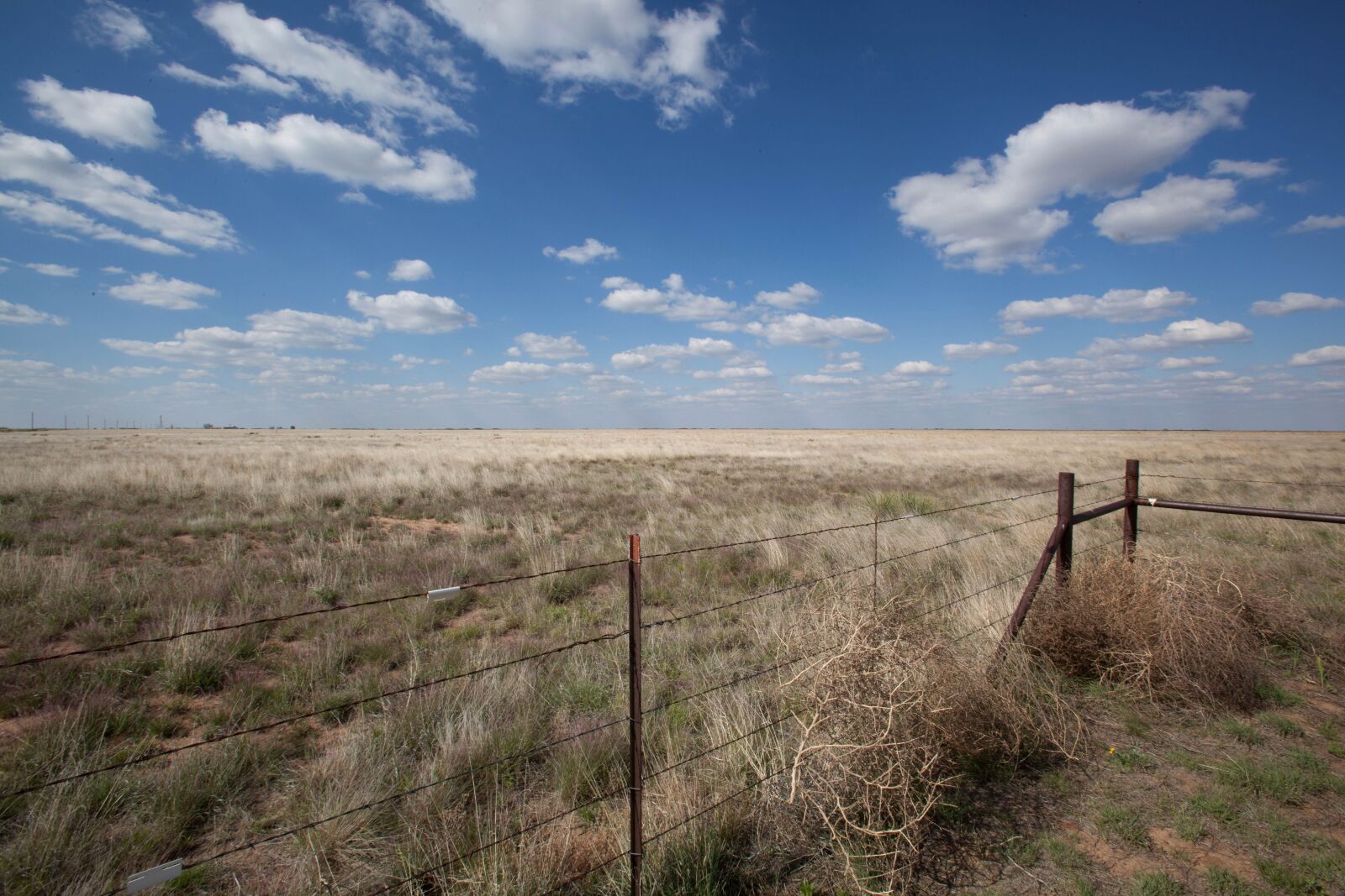 Canon EOS 5D Mark II sample photo. Blue, sky, clouds, desert photography
