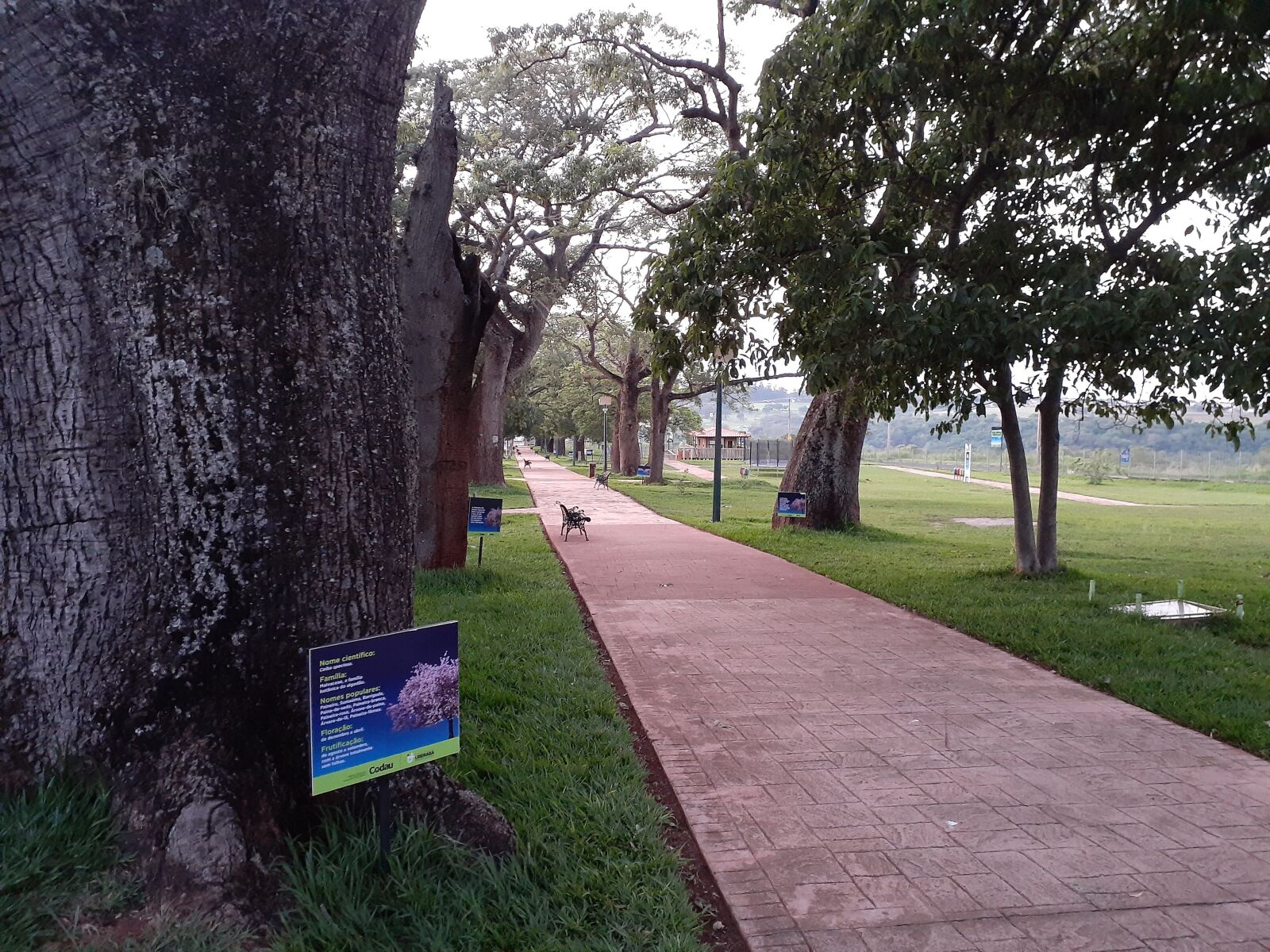 Samsung SM-A205G sample photo. Park, climate, beautiful photography