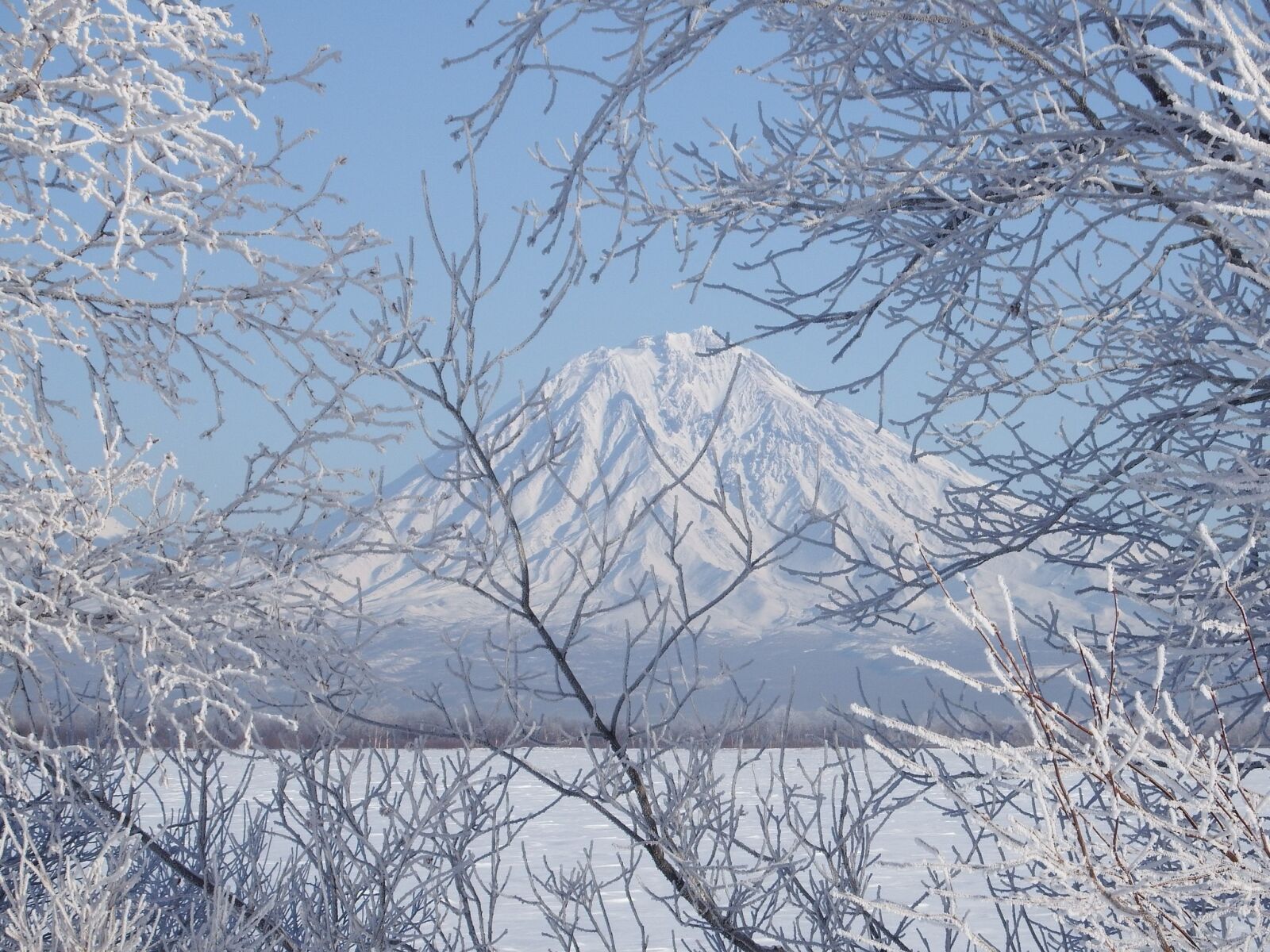 Fujifilm FinePix S1 sample photo. Winter, frost, snow photography