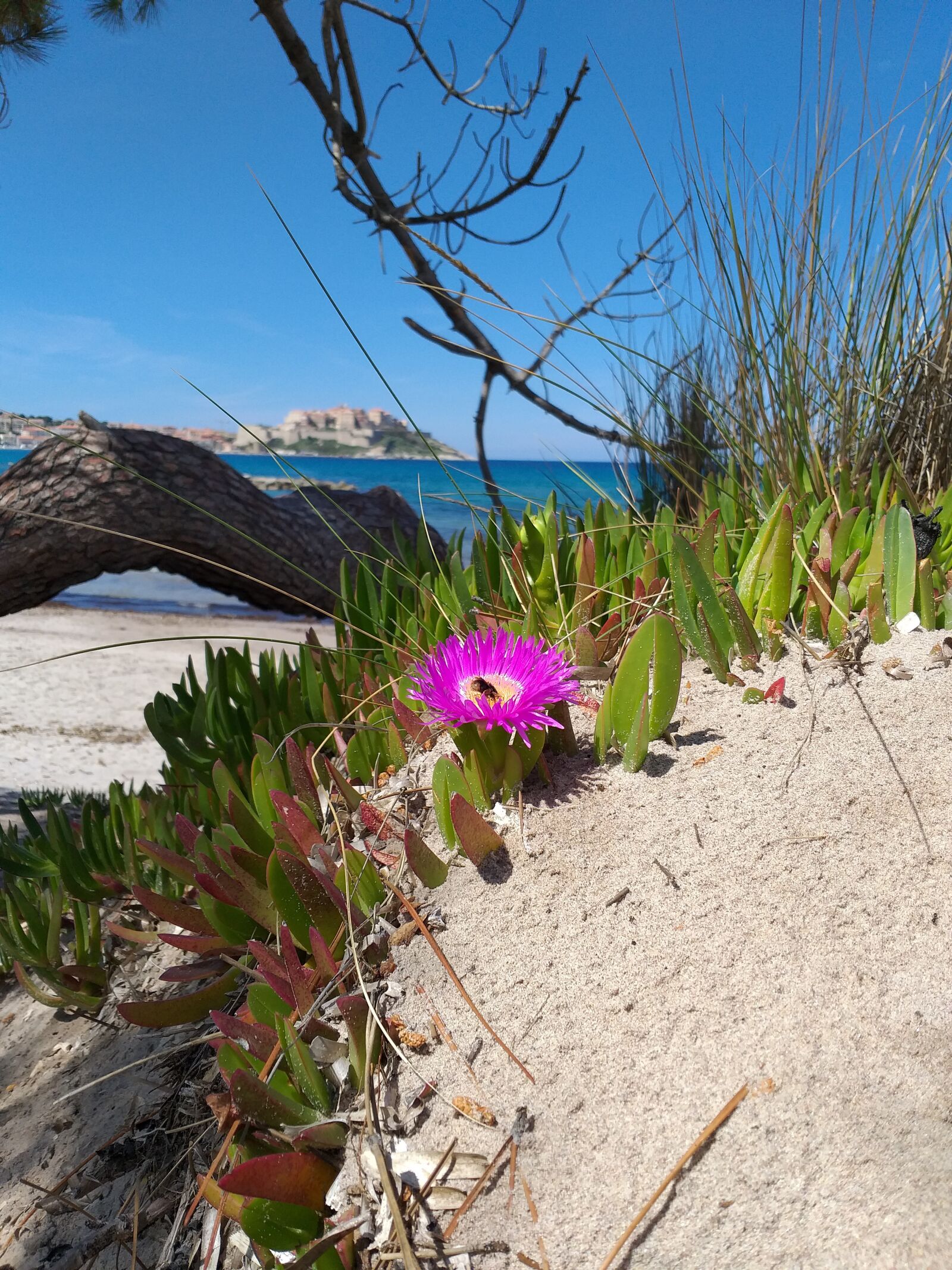Samsung Galaxy A6+ sample photo. Corsica, calvi, mediterranean photography