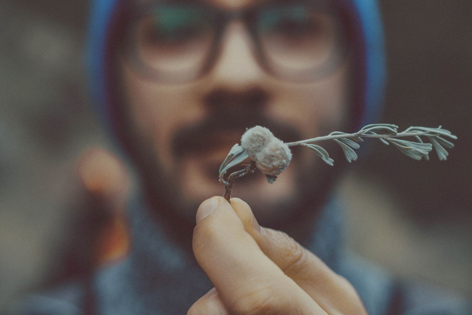 Canon EOS 50D + Canon EF 50mm F1.8 II sample photo. Close, up, fingers, hand photography