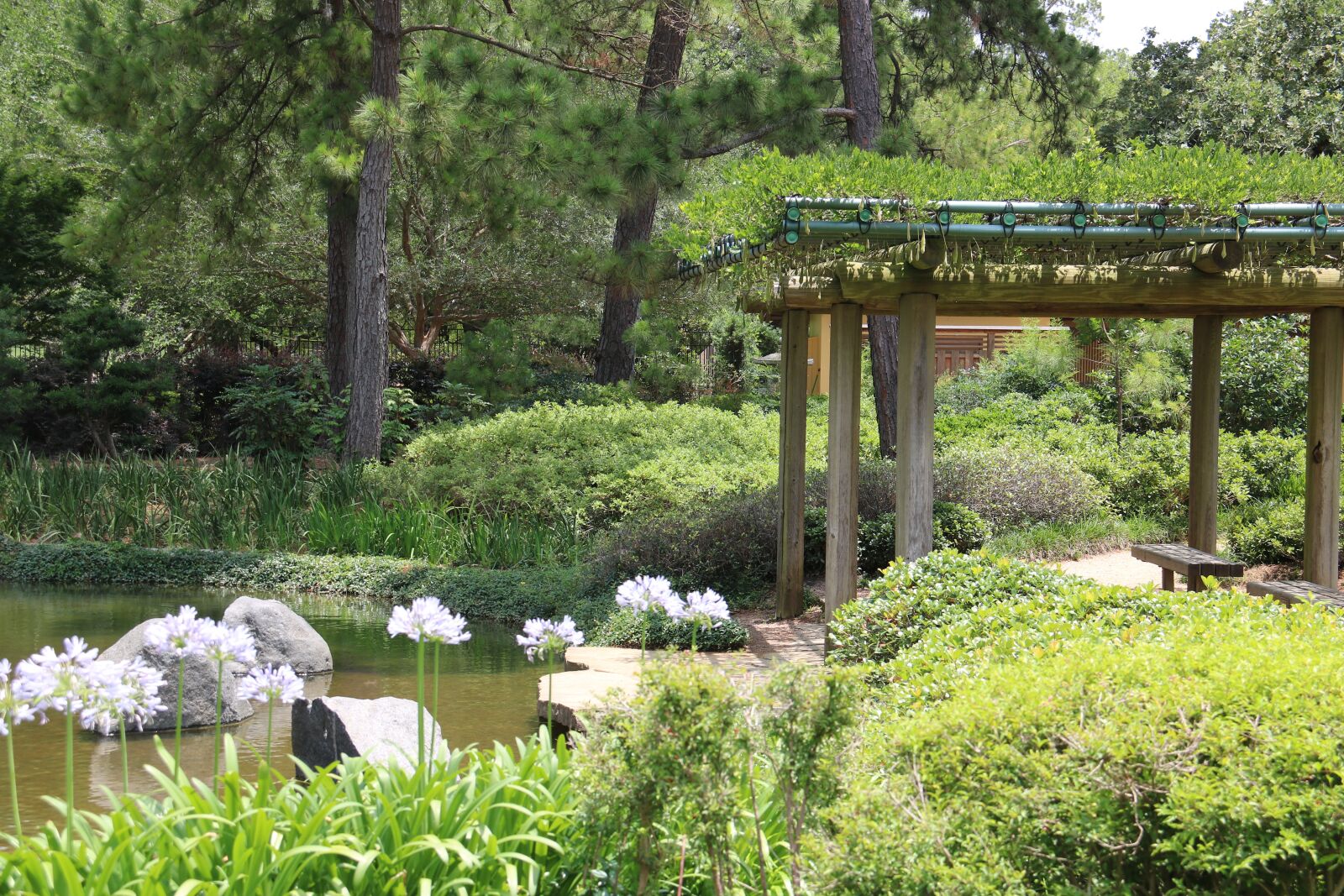 Canon EOS 750D (EOS Rebel T6i / EOS Kiss X8i) sample photo. Japanese, park, nature photography
