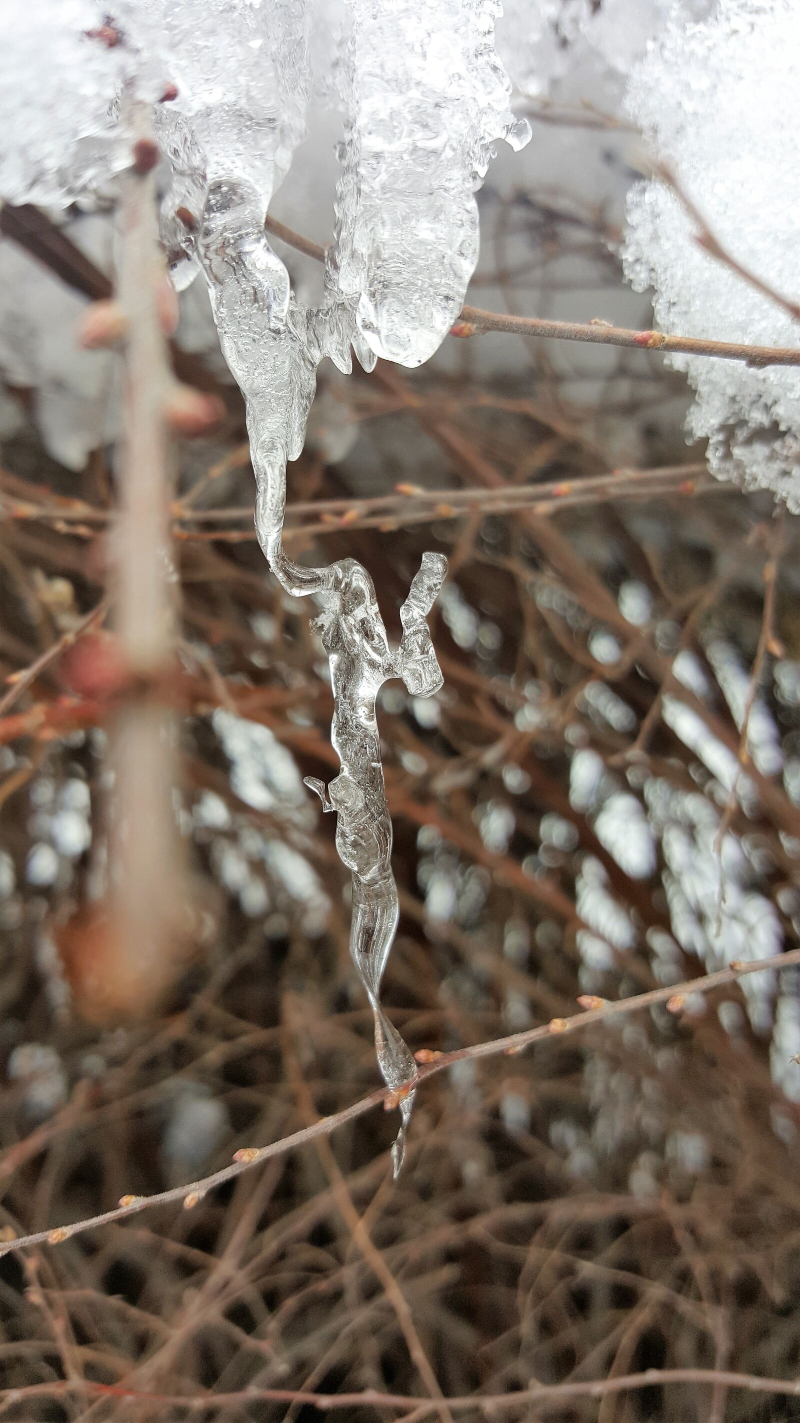 Samsung Galaxy S6 sample photo. Ice, snow, snowflake photography