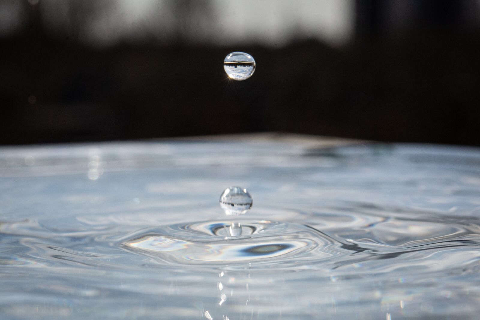 Nikon D600 sample photo. Water, drop, single photography