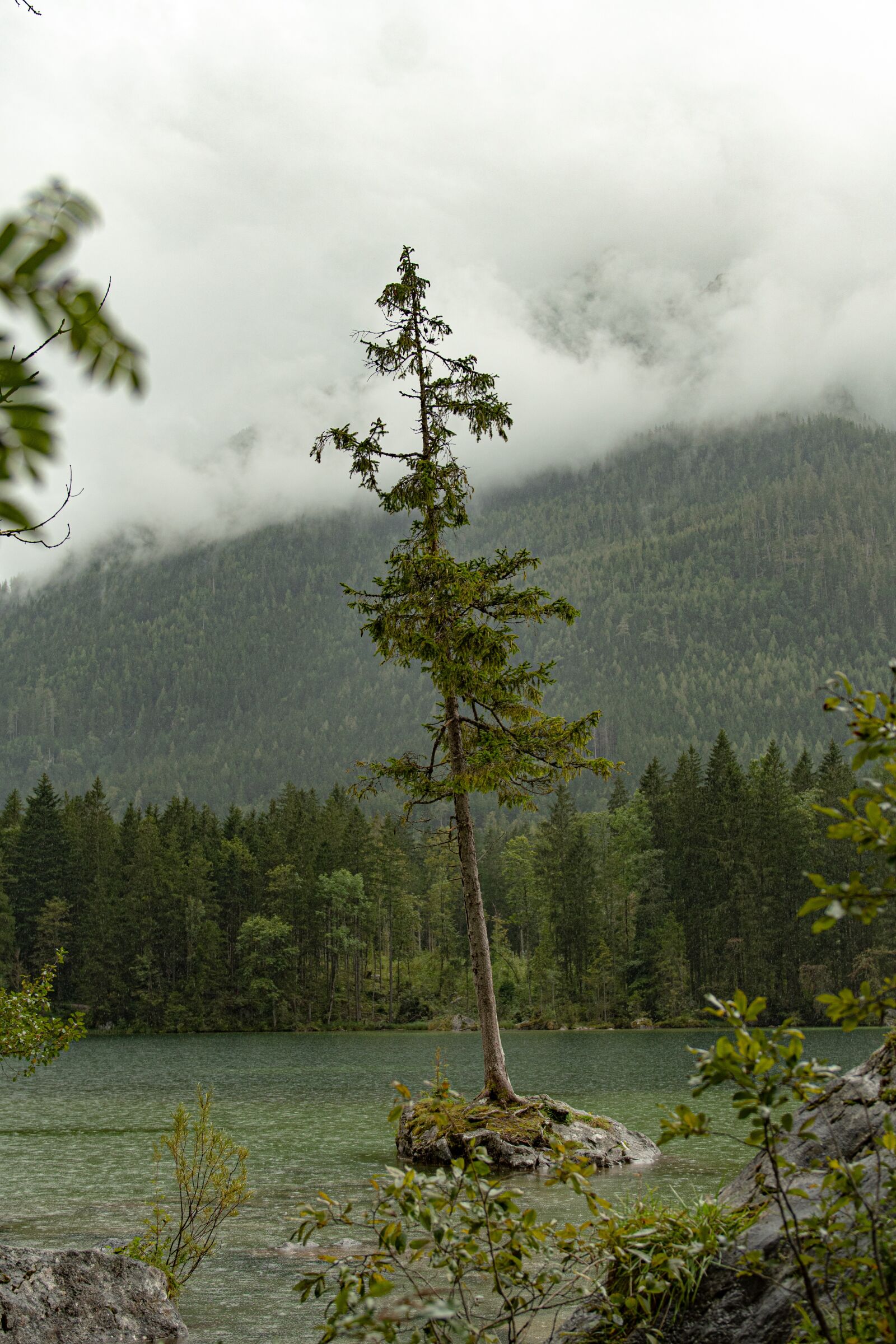 Nikon D500 sample photo. Bavaria, berchtesgaden, alpine photography