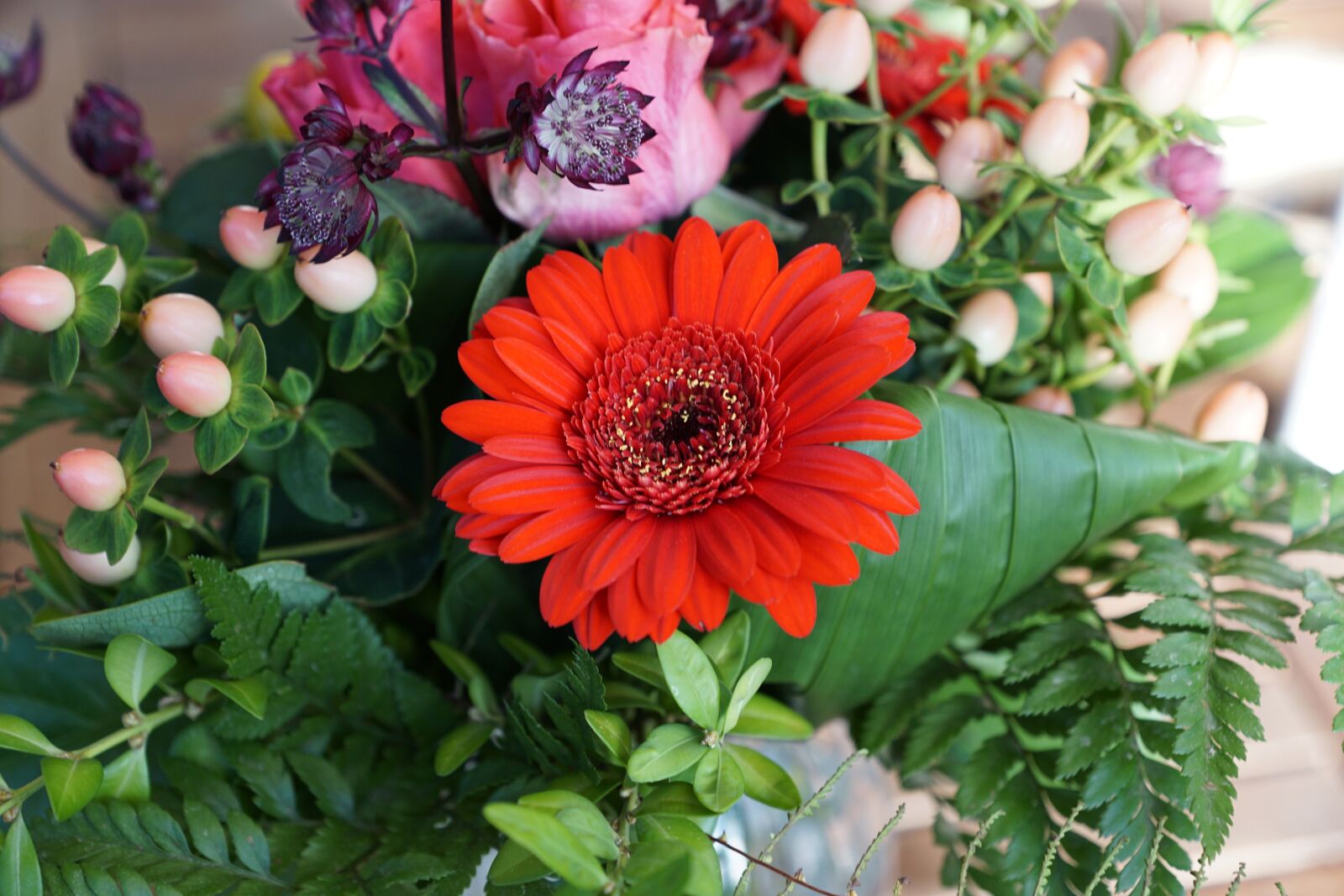 Sony ILCA-77M2 sample photo. Flowers, strauss, green photography