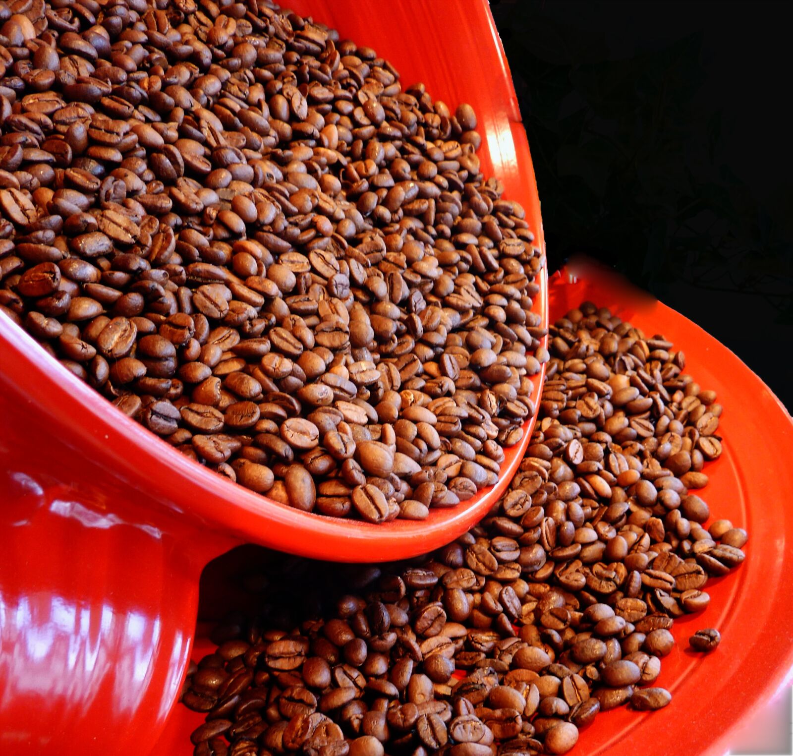 Panasonic DMC-TZ7 sample photo. Coffee, coffee beans, aroma photography