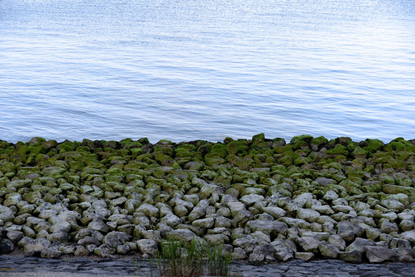 Nikon D610 sample photo. Stones, sea, wadden sea photography