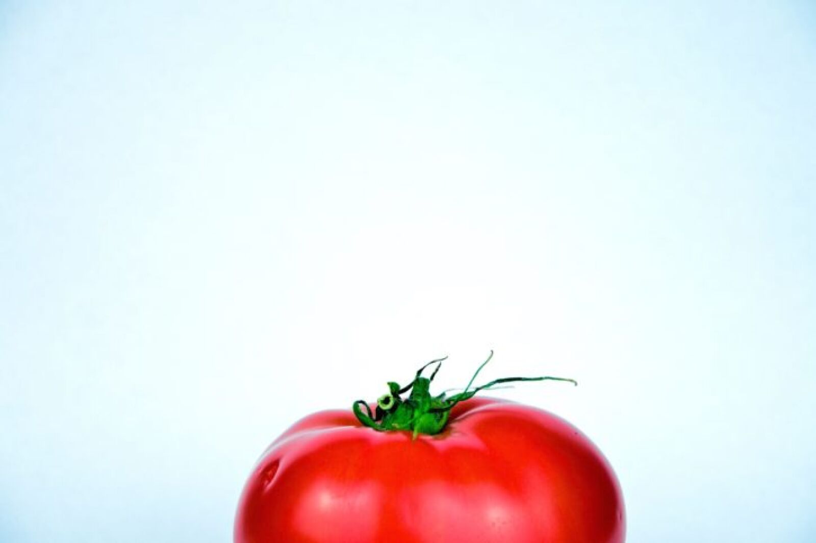 Nikon D3200 sample photo. Red tomato, still life photography