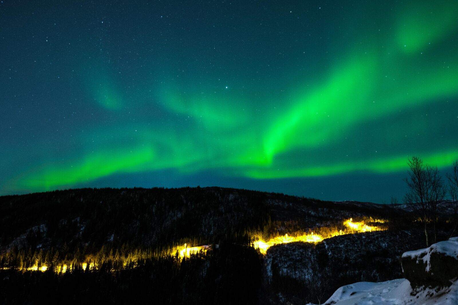 Nikon D5300 sample photo. Northern lights, sky, three photography
