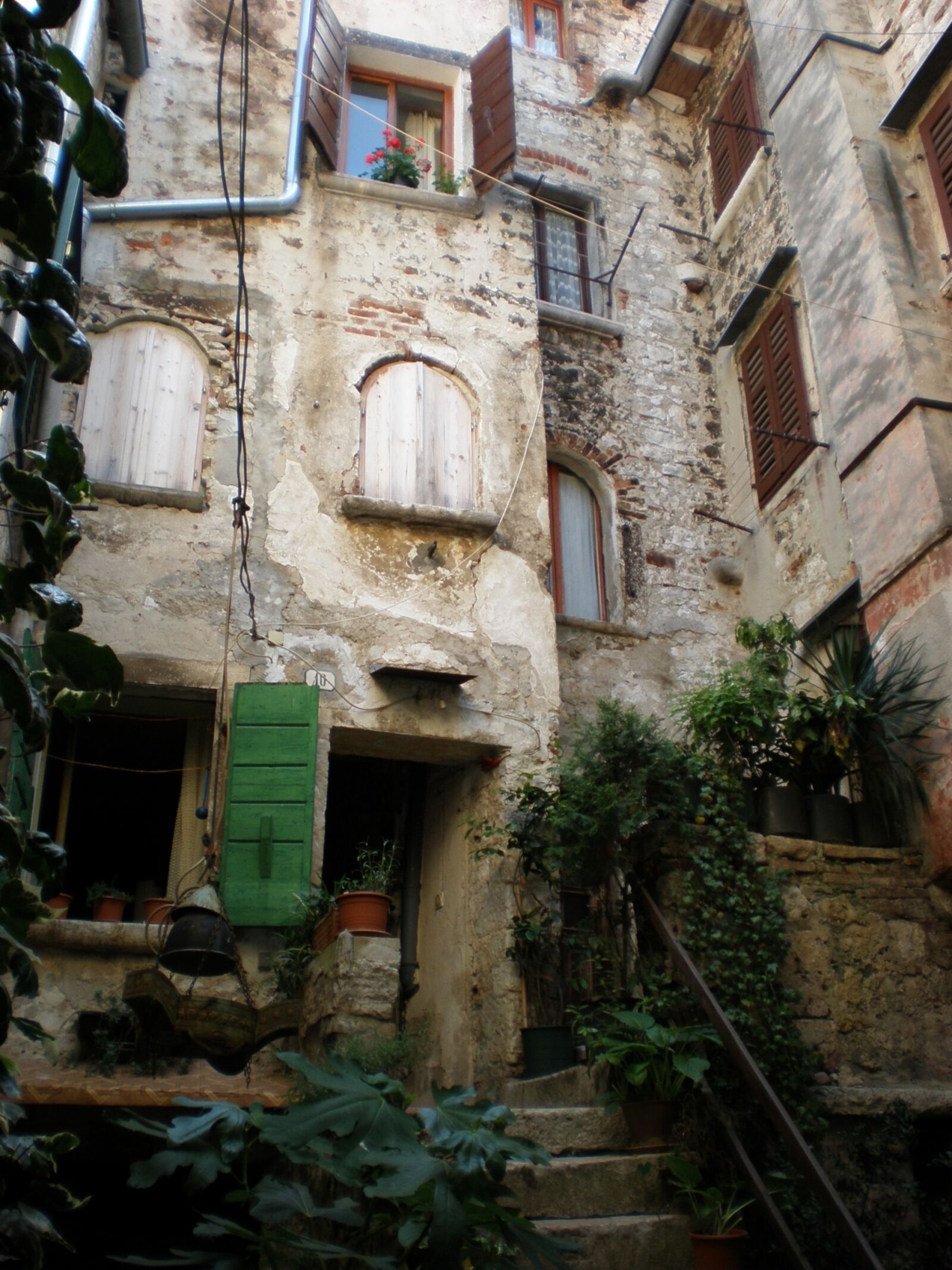 Olympus FE320,X835,C540 sample photo - d0TQznjwnl - ExploreCams
