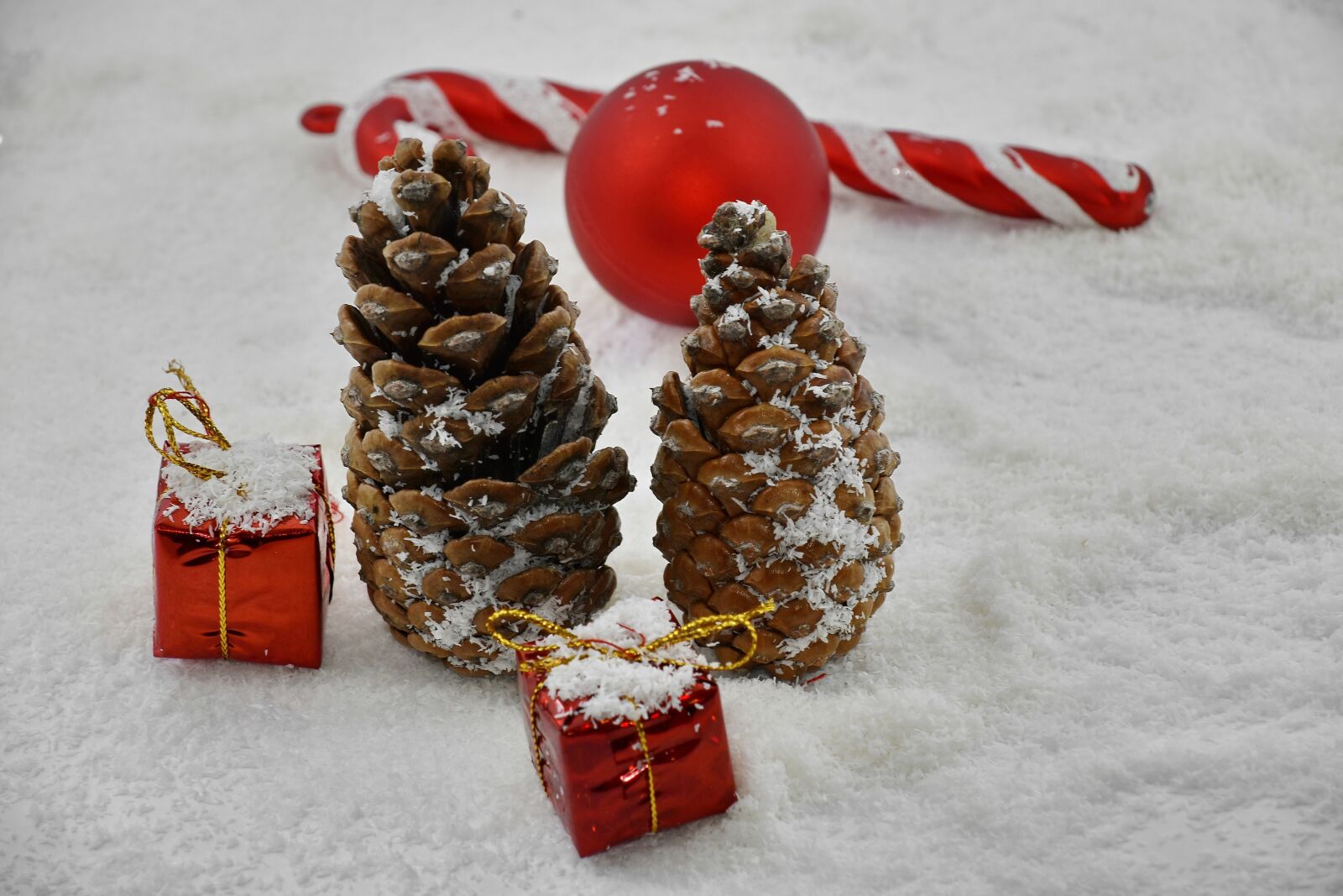Nikon D5500 sample photo. Decoration, details, gifts, snow photography