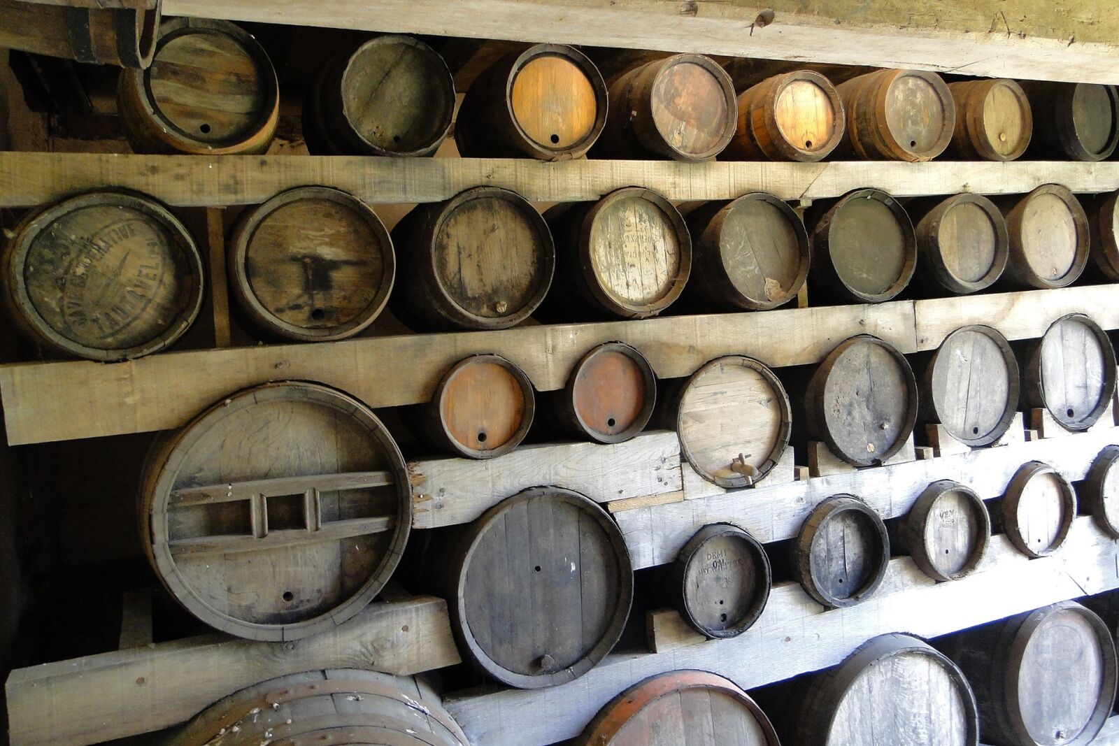Sony Cyber-shot DSC-HX1 sample photo. Cave, barrels, wine photography