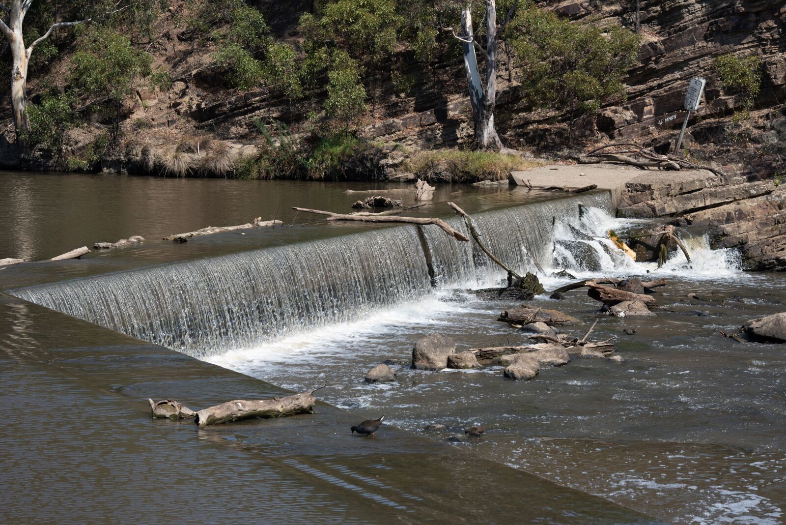 Nikon D750 sample photo. Dights falls, melbourne, waterfall photography