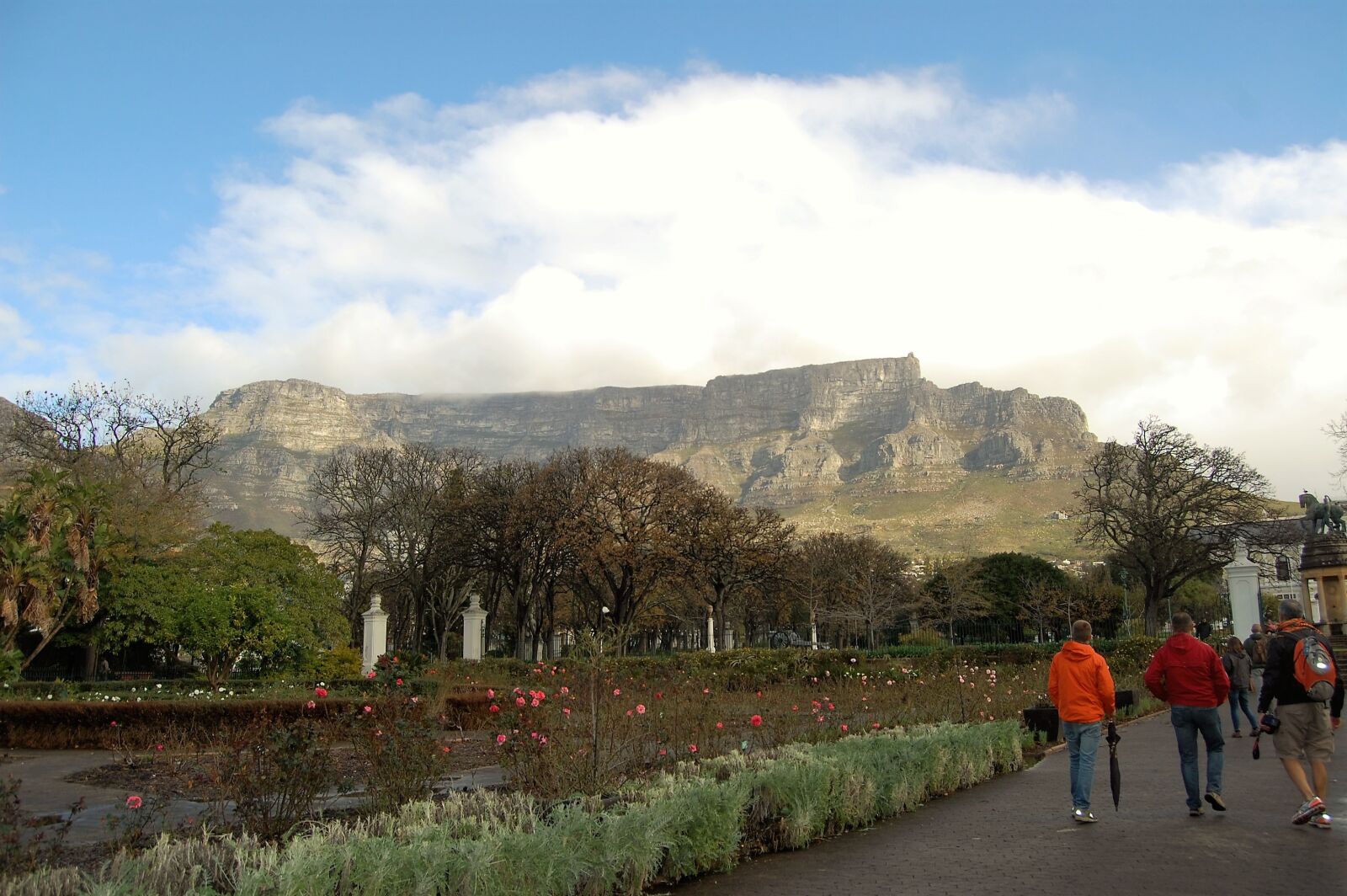 Nikon D40 sample photo. South africa, table mountain photography