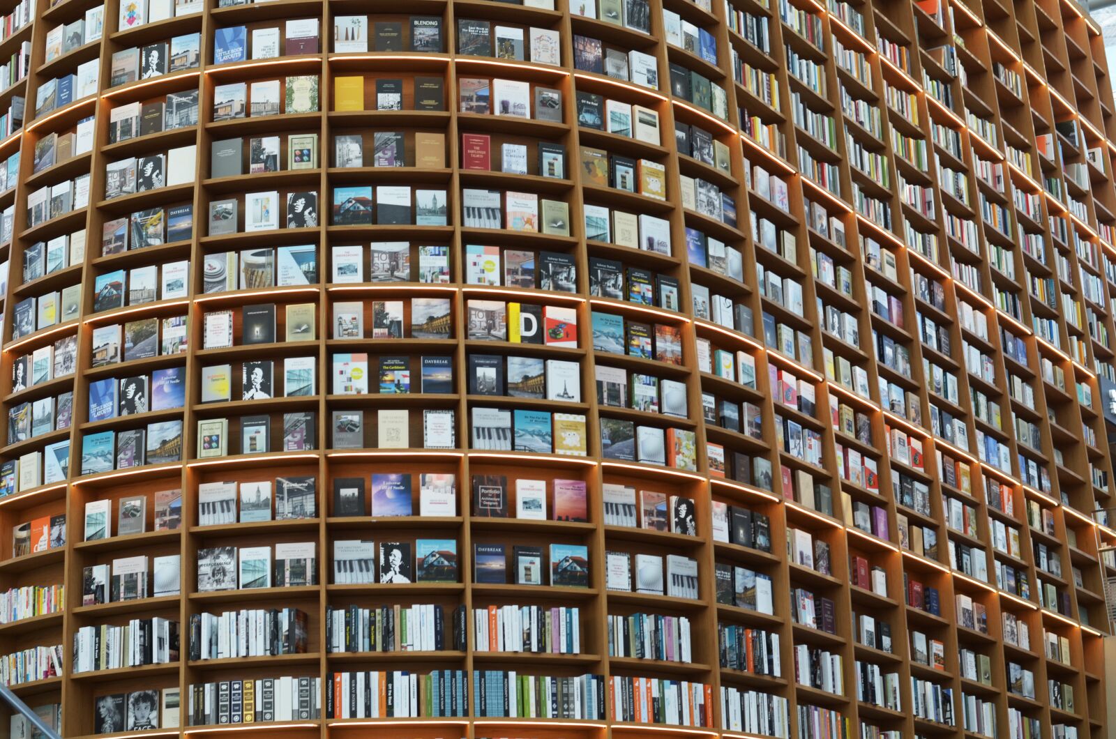 Nikon D7000 sample photo. Book, literature, bookstore photography
