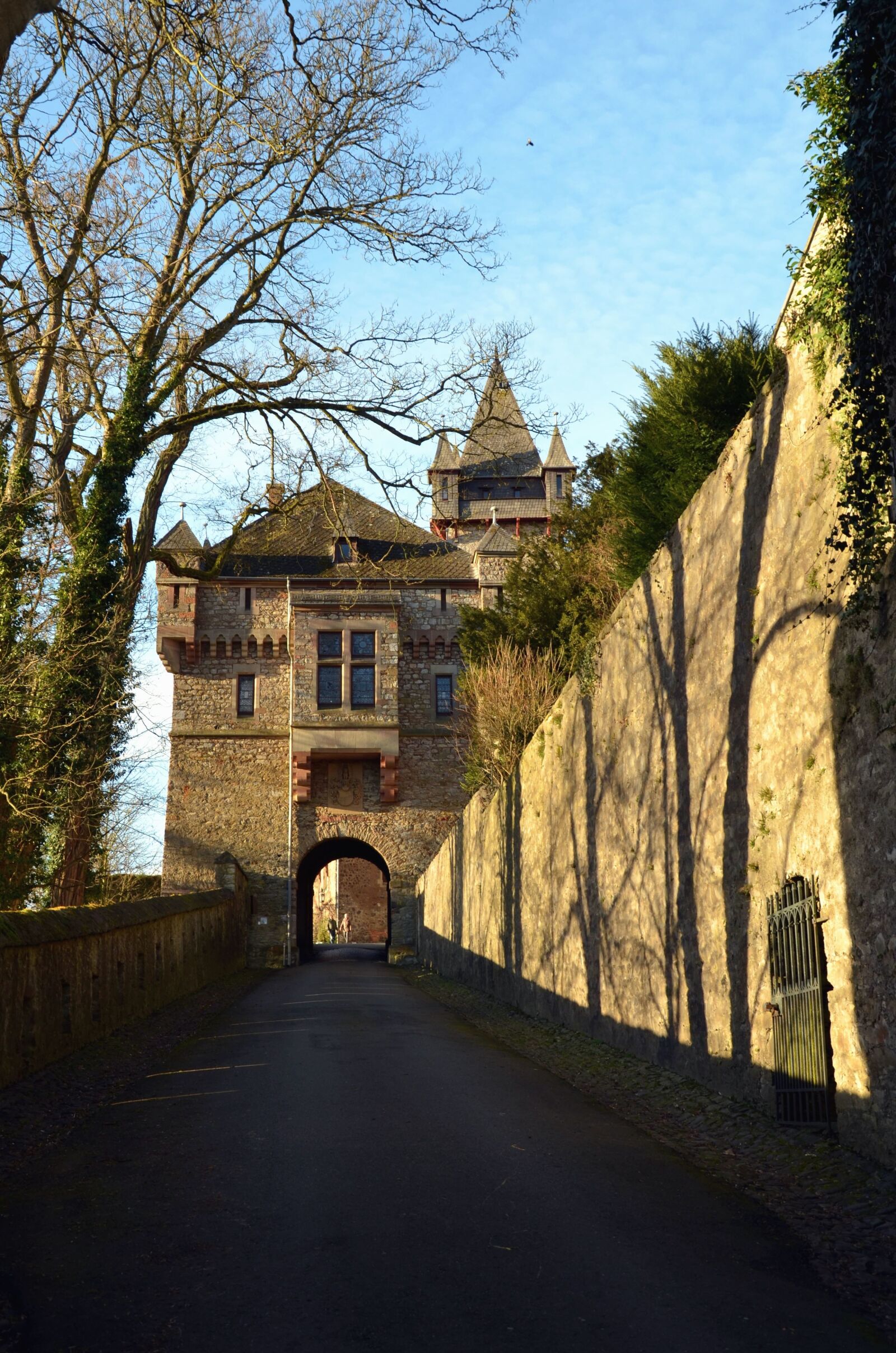 Nikon D5100 sample photo. Castle, historical, road, arch photography