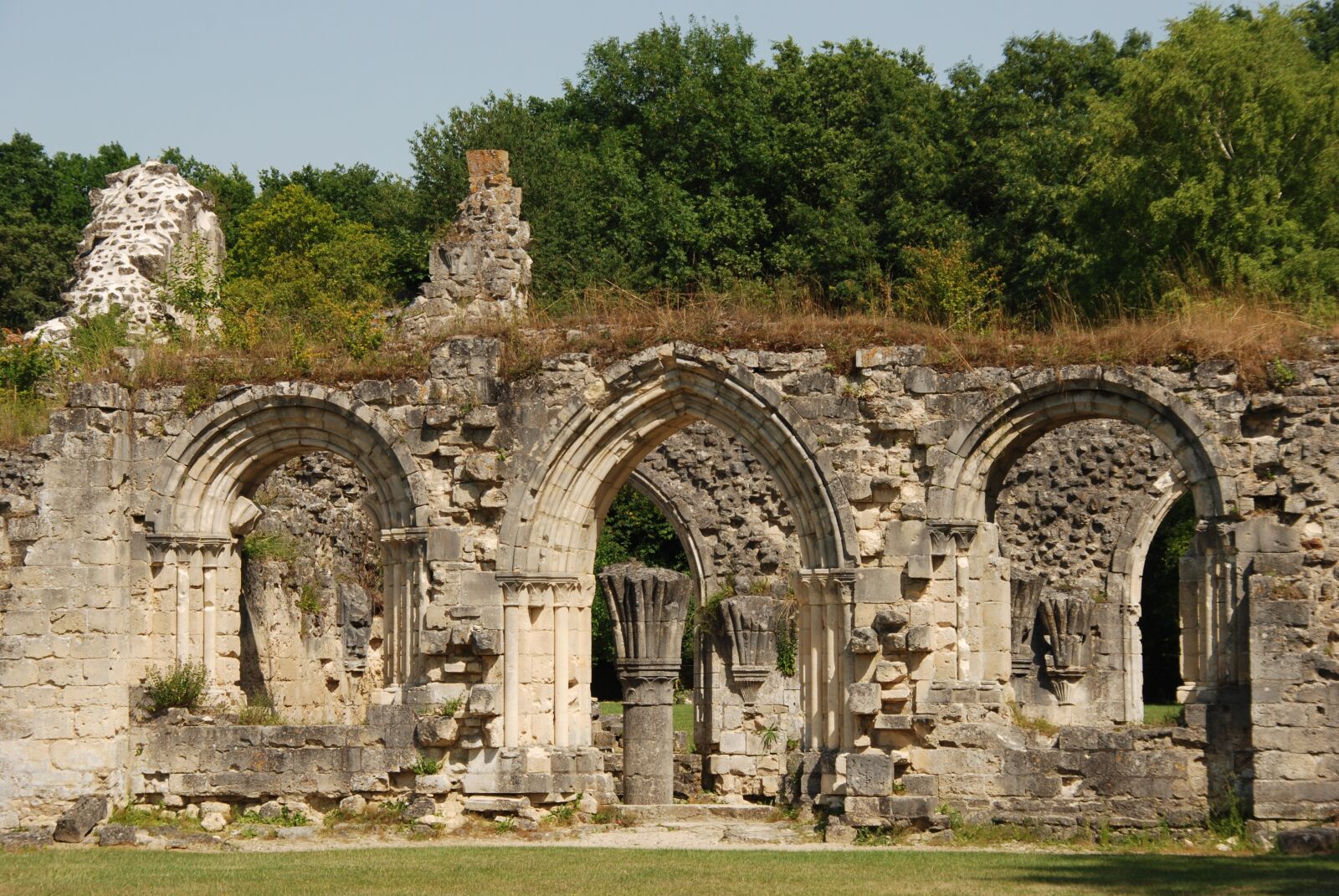 Nikon D80 sample photo. Ruin, abbey, vauclair photography