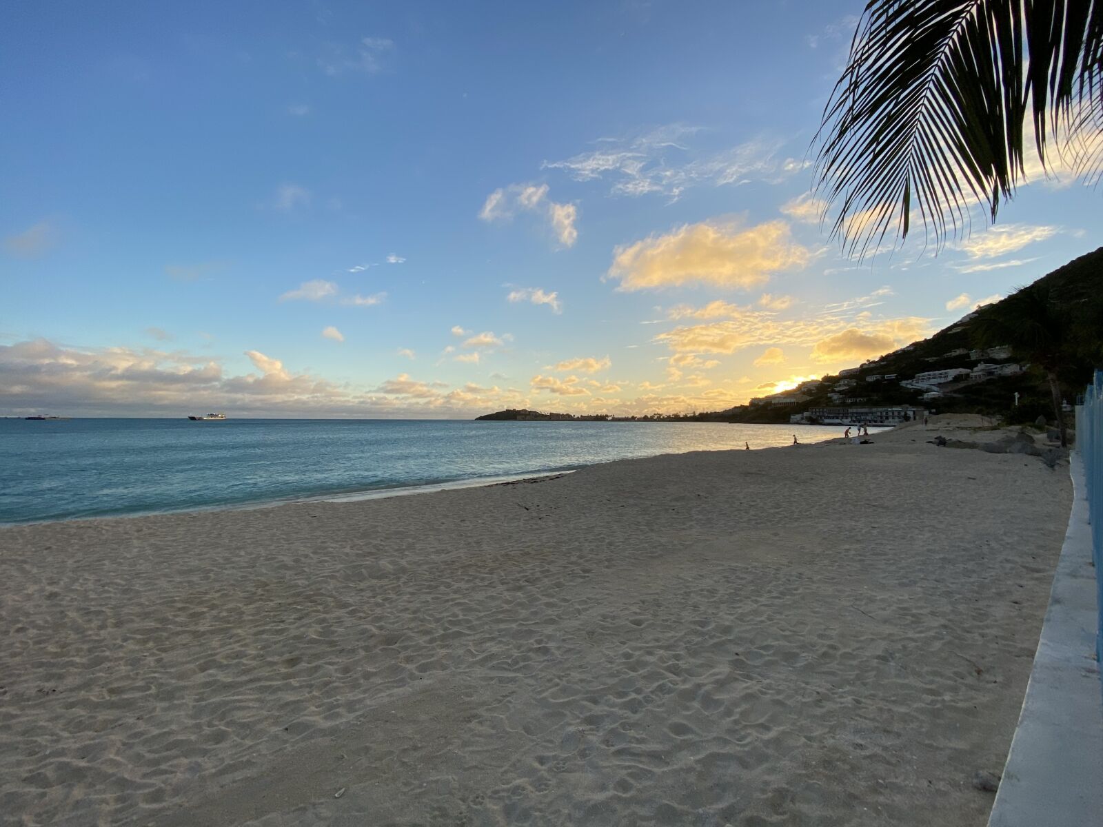iPhone 11 Pro back triple camera 1.54mm f/2.4 sample photo. Beach, sunrise, palmleaf photography