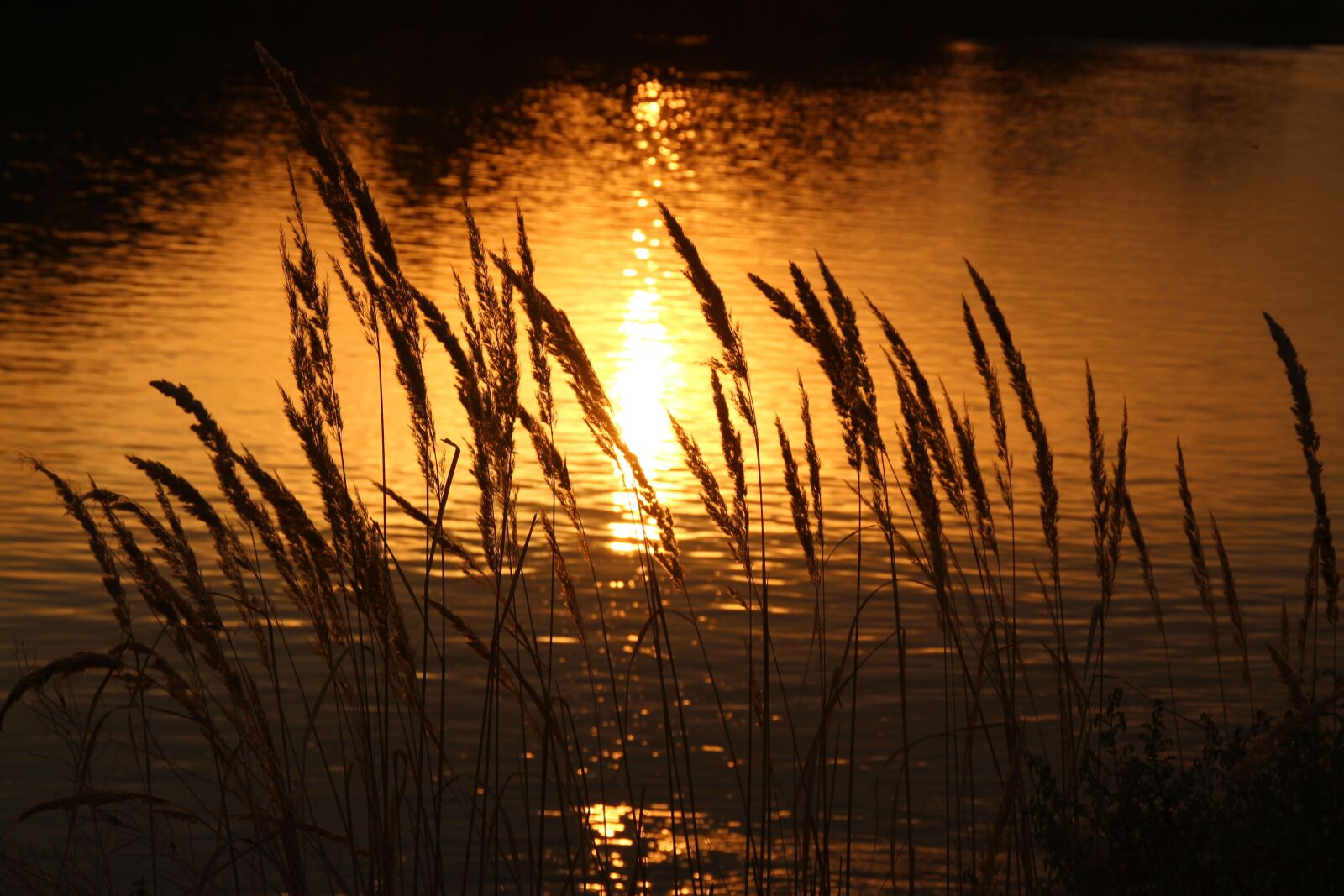 Canon EOS 700D (EOS Rebel T5i / EOS Kiss X7i) sample photo. Sunset, water, reflection photography