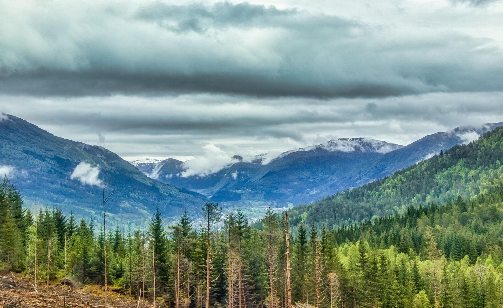 Canon EF-S 18-135mm F3.5-5.6 IS USM sample photo. Norway, view, forest photography