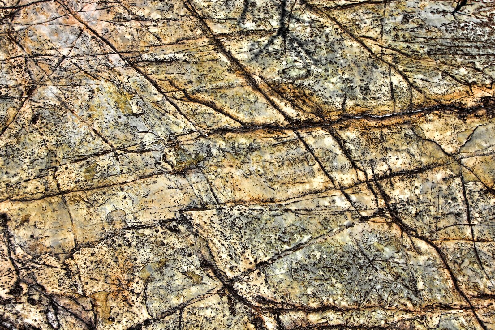 Canon EOS 550D (EOS Rebel T2i / EOS Kiss X4) sample photo. Texture, background, stone photography