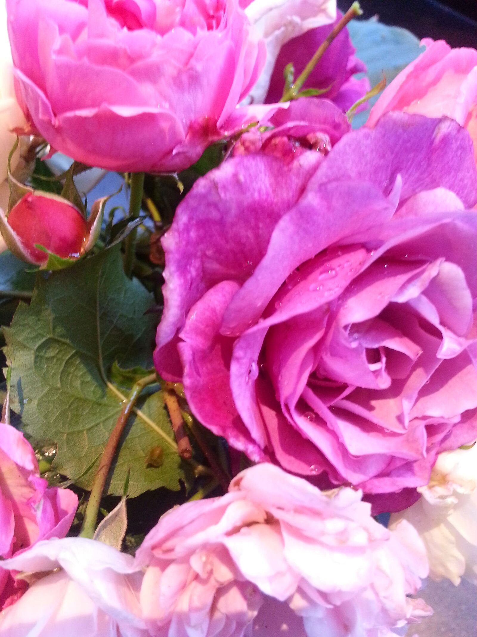 Samsung Galaxy S3 sample photo. Value, folmer, sneek photography