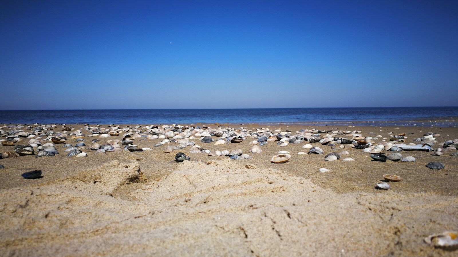HUAWEI Mate 9 sample photo. Beach, sand, sea photography