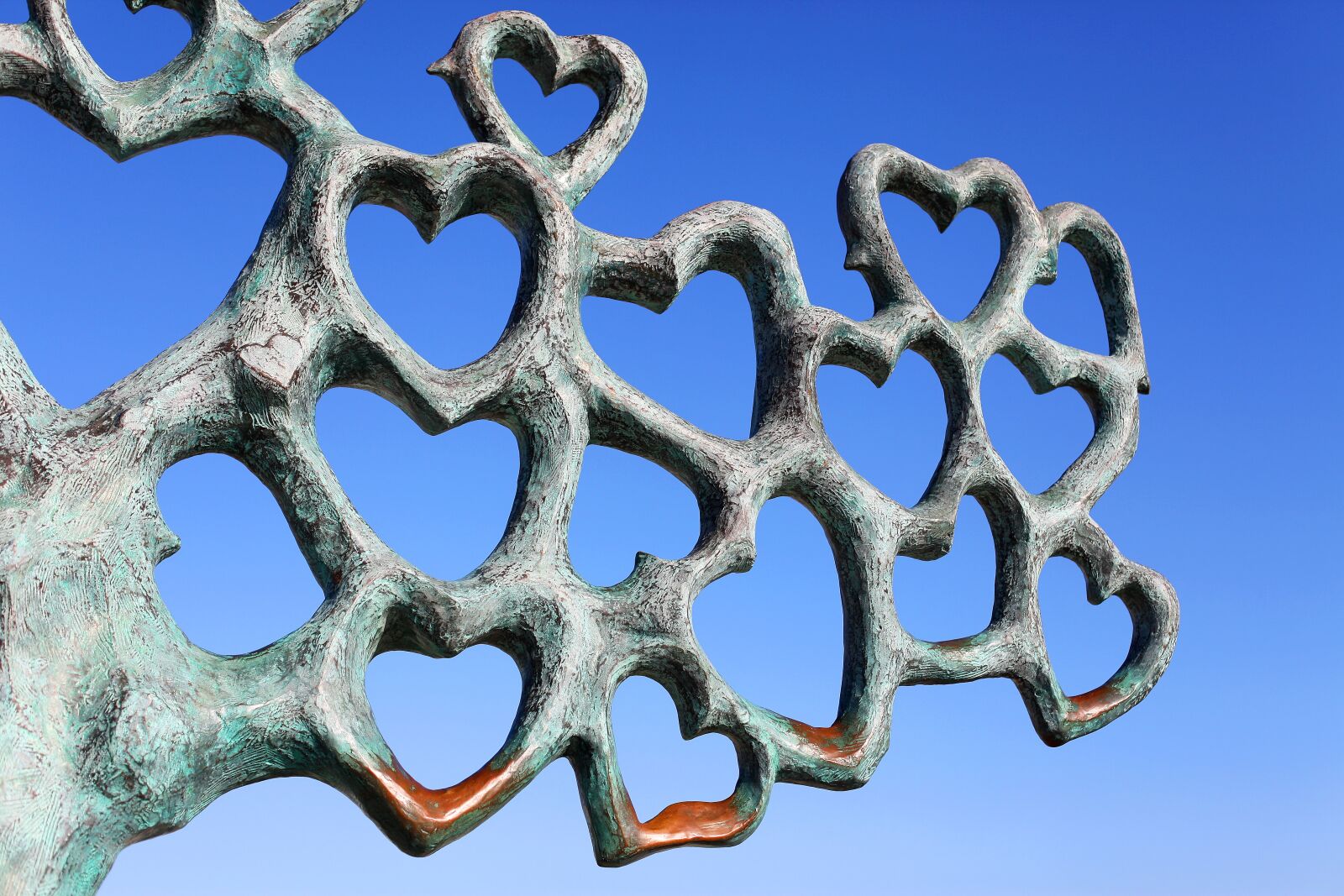Canon EOS 5D Mark II sample photo. Hart, love, heart photography