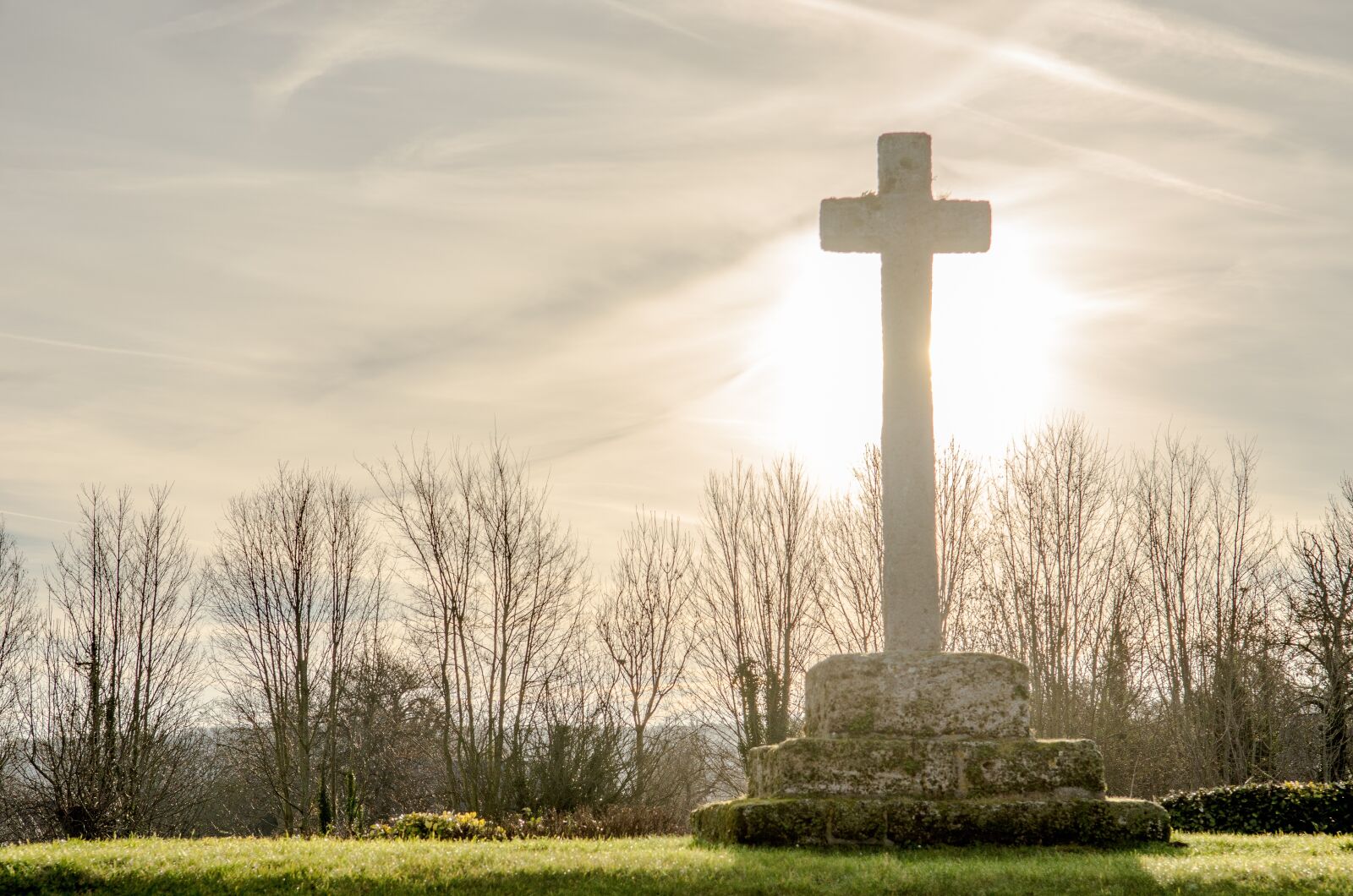 Nikon D7000 sample photo. Silhouette, cross, tree photography