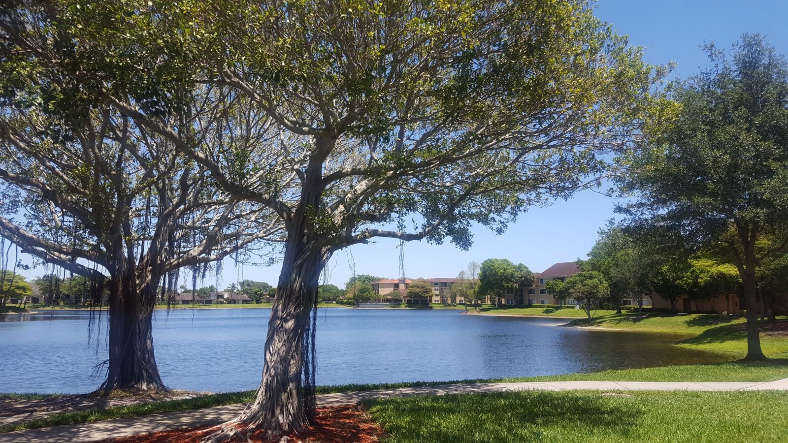 Samsung GALAXY S6 edge sample photo. Landscape, park, trees photography