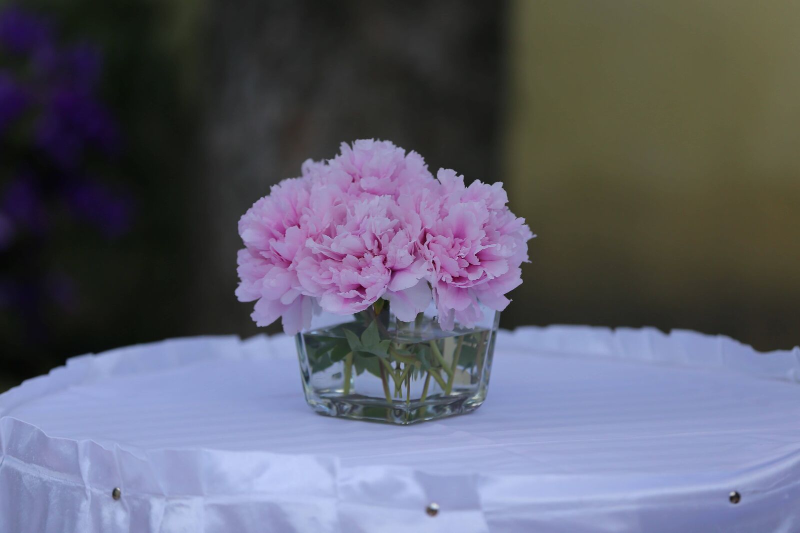 Canon EOS 6D sample photo. Vase, carnation, arrangement, tablecloth photography