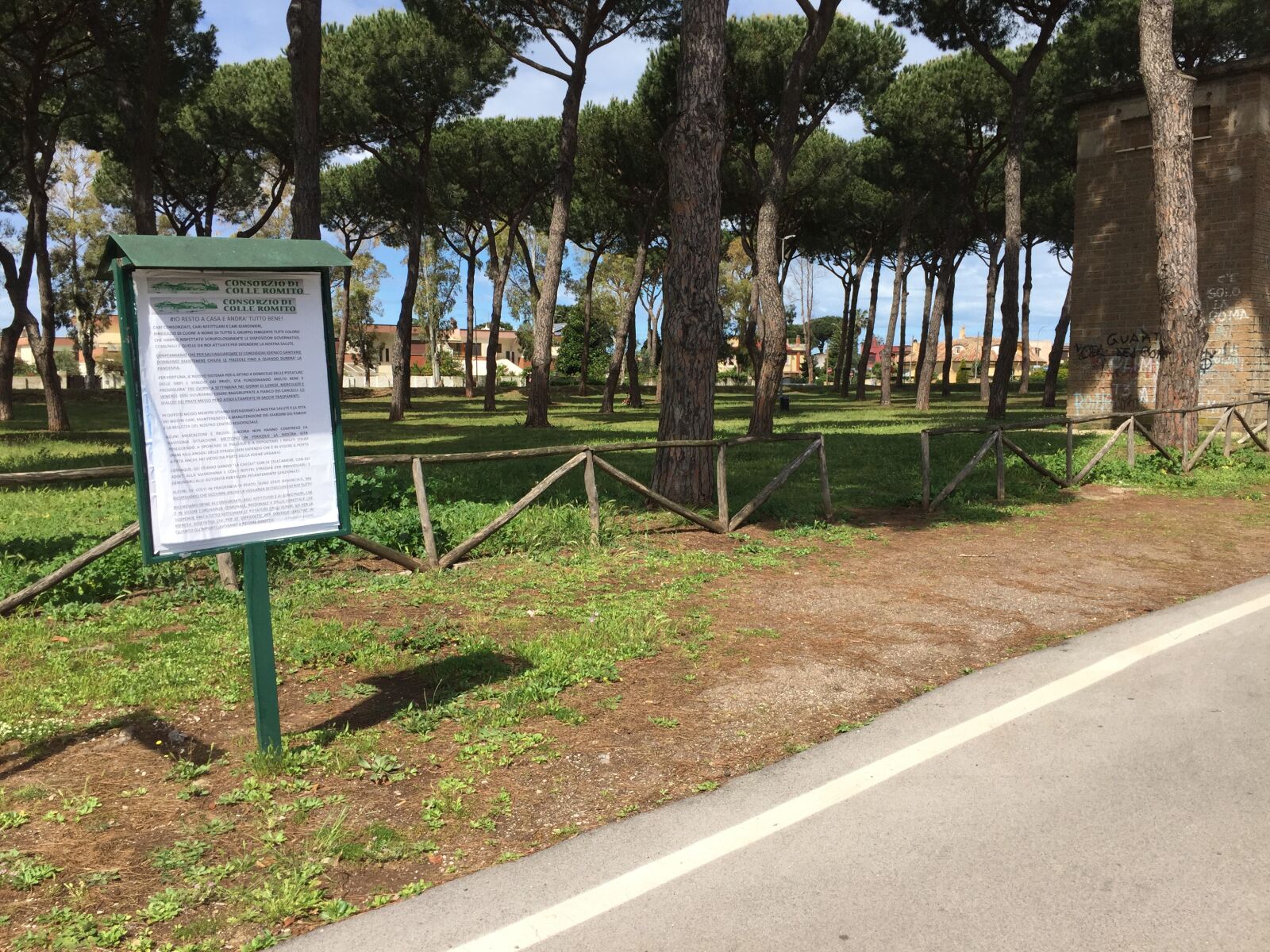 iPhone 6 back camera 4.15mm f/2.2 sample photo. Pinewood 01, grove, prato photography