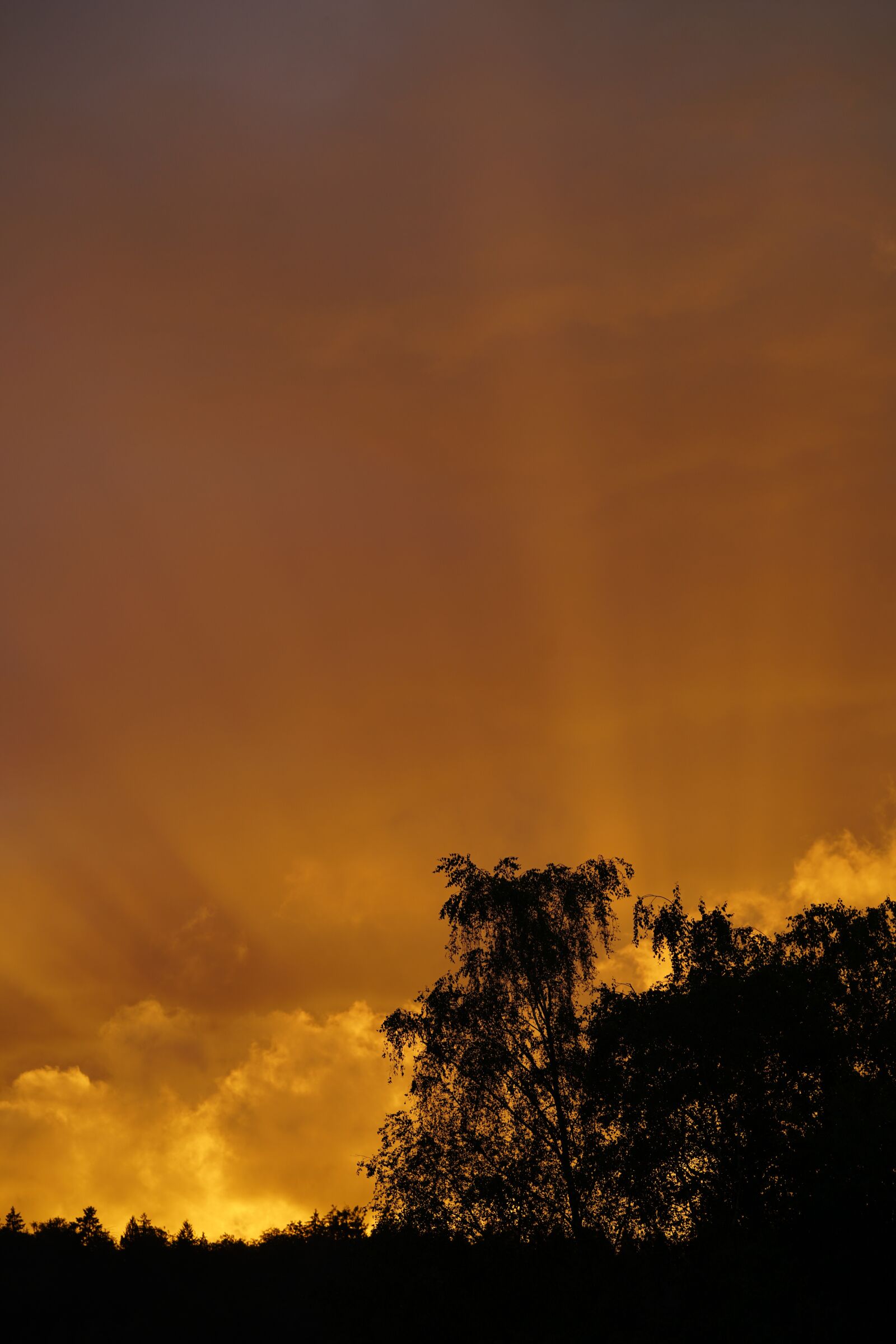 Sony FE 90mm F2.8 Macro G OSS sample photo. Sunset, sunrise, sunbeam photography