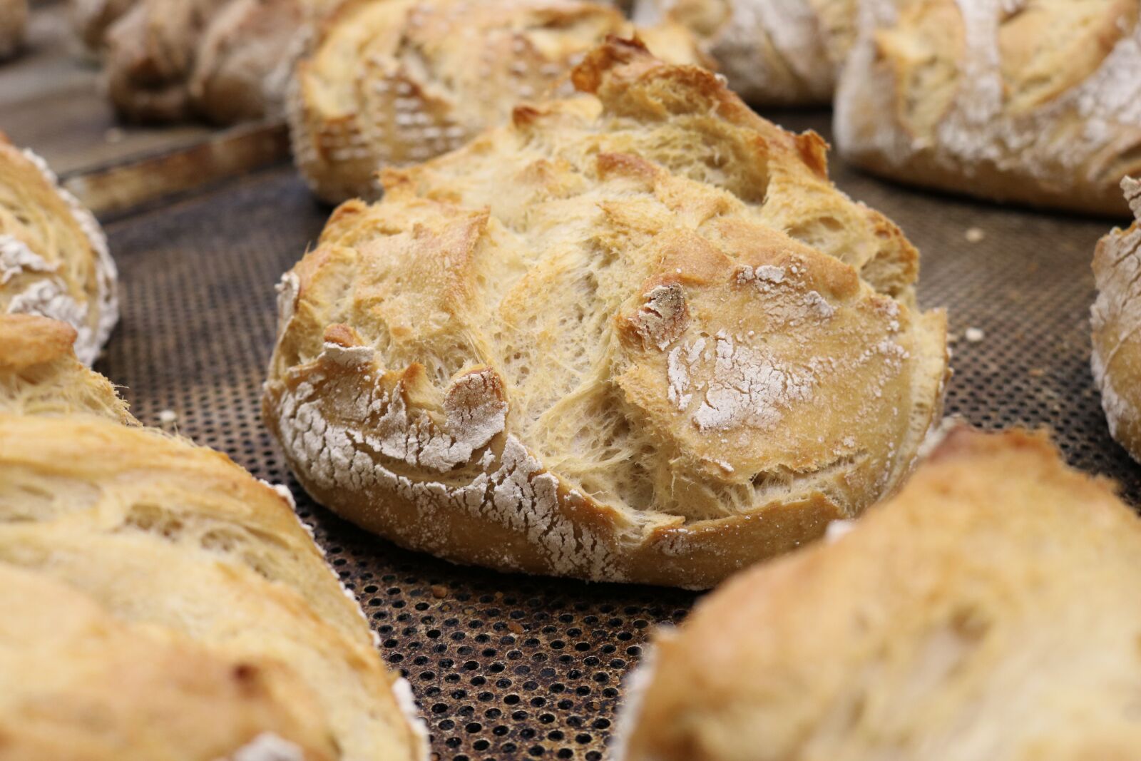 Canon EOS 750D (EOS Rebel T6i / EOS Kiss X8i) sample photo. Desembol, bread, craft photography