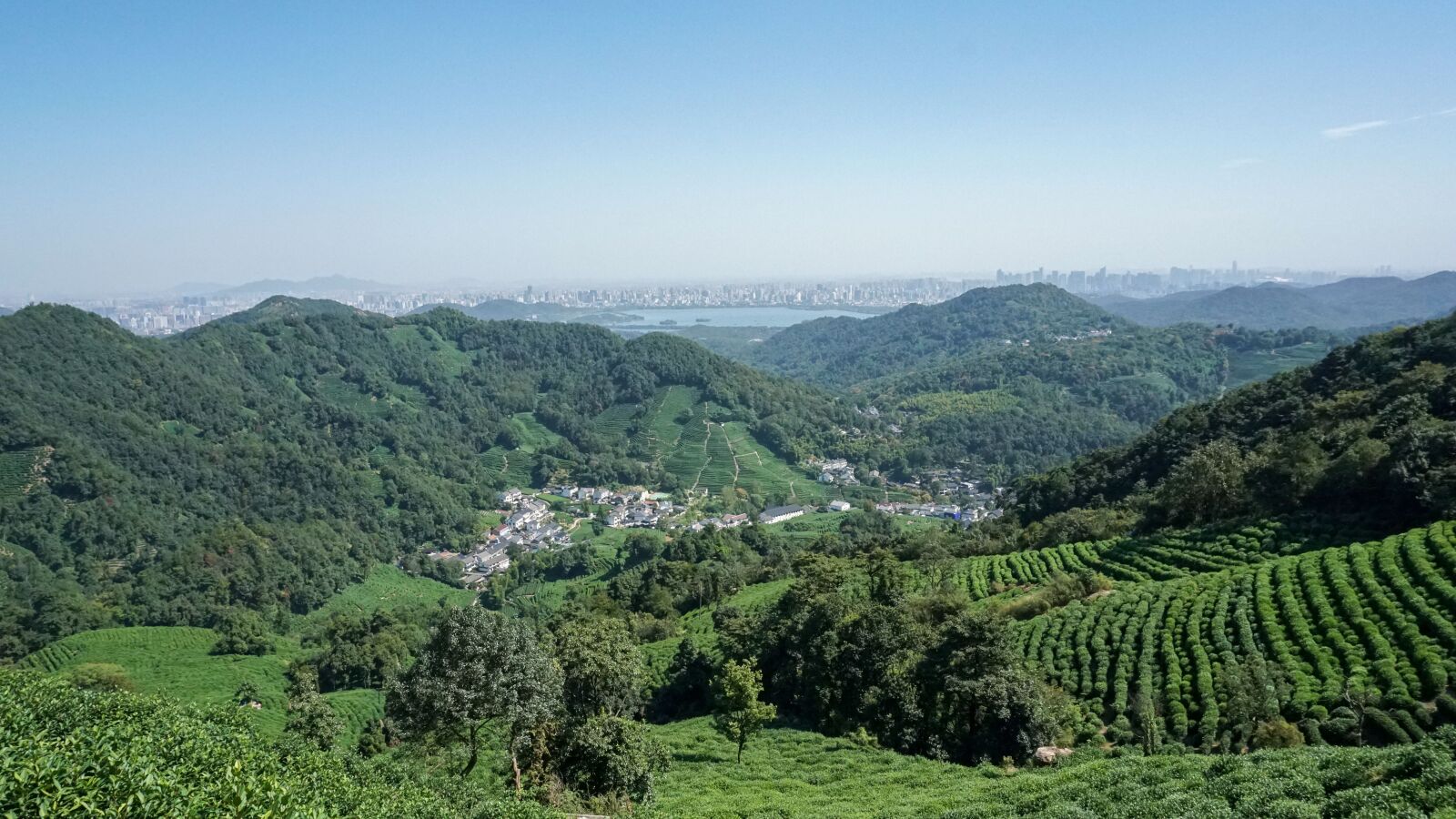 Sony a5100 sample photo. Tea garden, tea, mountain photography