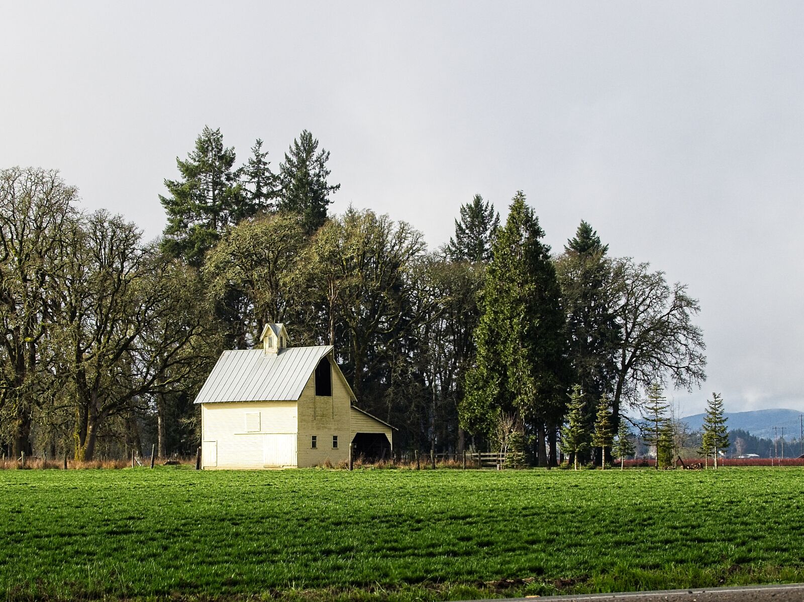 Olympus OM-D E-M1 sample photo. Trees, barn, countryside photography