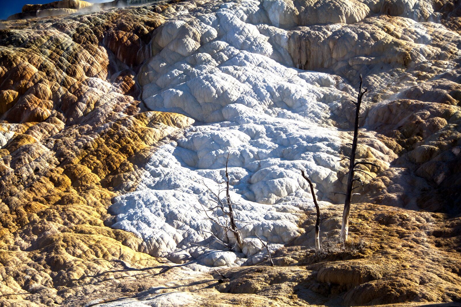Canon EOS 7D sample photo. Yellowstone national park, wyoming photography