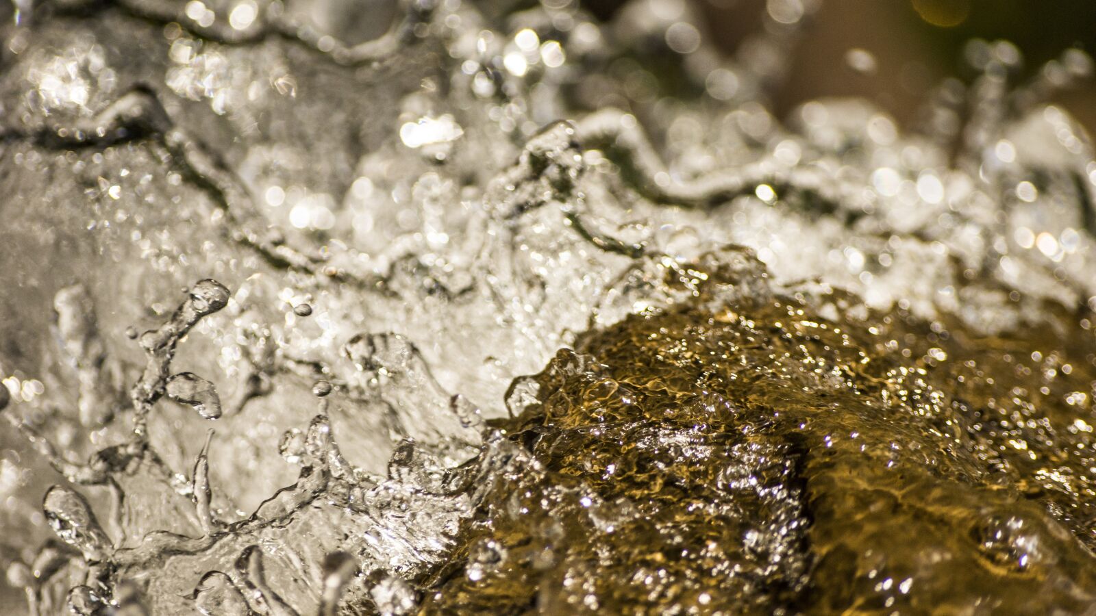 Sony SLT-A77 sample photo. Water, life, flow photography