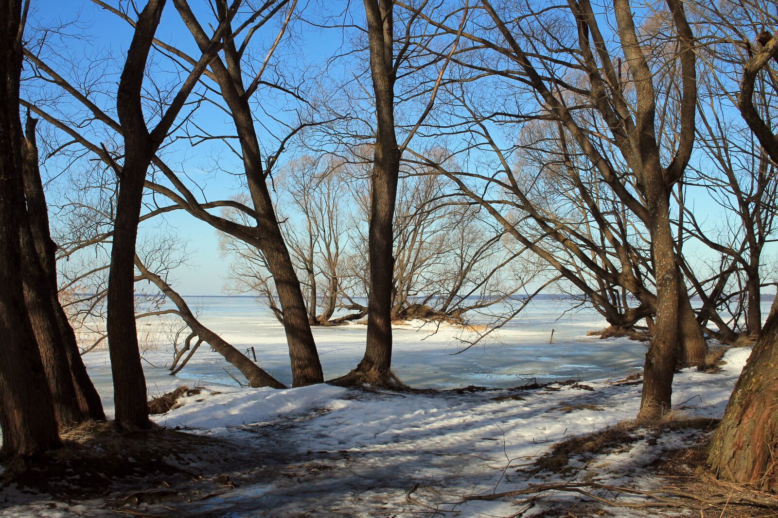 Canon EOS 1100D (EOS Rebel T3 / EOS Kiss X50) sample photo. Nature, sun, lake photography