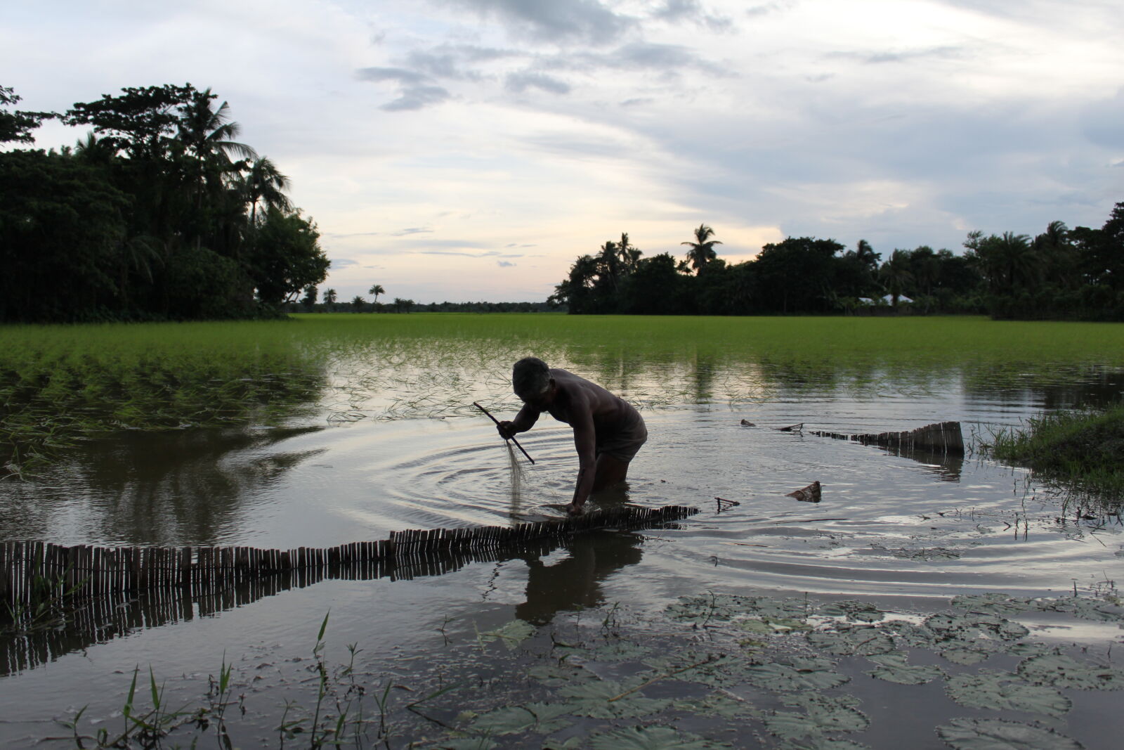 Canon EOS 500D (EOS Rebel T1i / EOS Kiss X3) sample photo. Bangladesh, canal, fisherman, flower photography