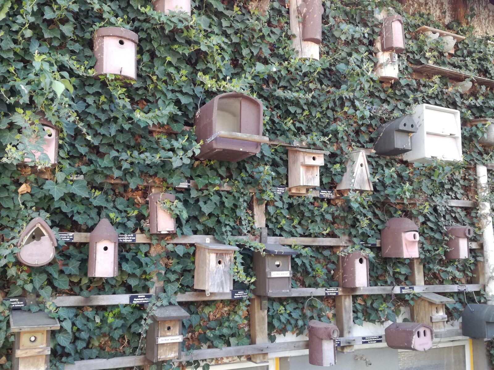 HUAWEI P9 LITE sample photo. Bird houses, nest boxes photography