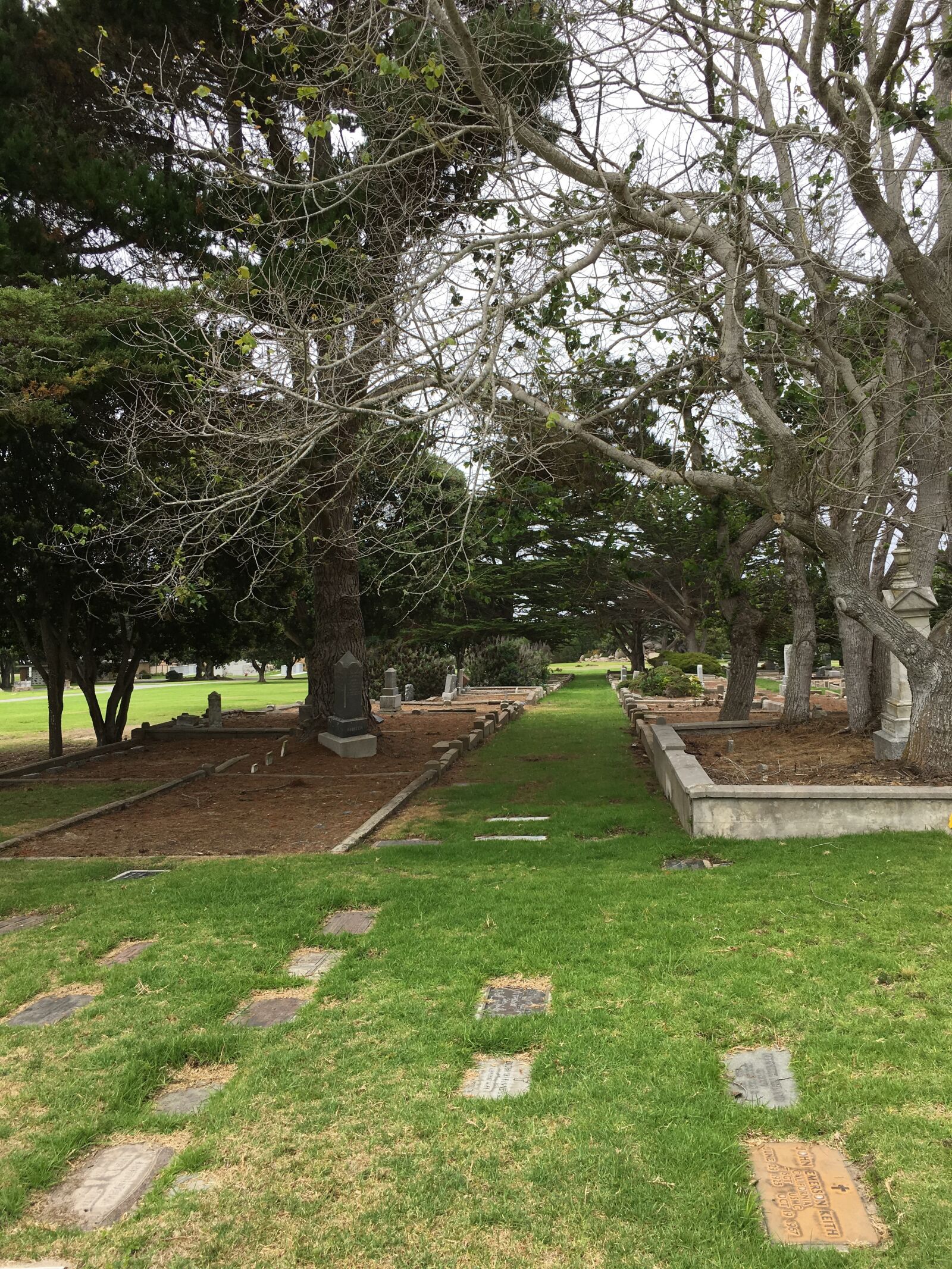 Apple iPhone 6s Plus sample photo. Trees, path, graves photography