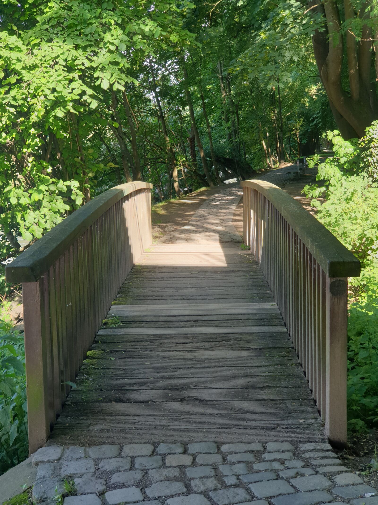 Samsung Galaxy Note9 sample photo. Bridge, web, path photography