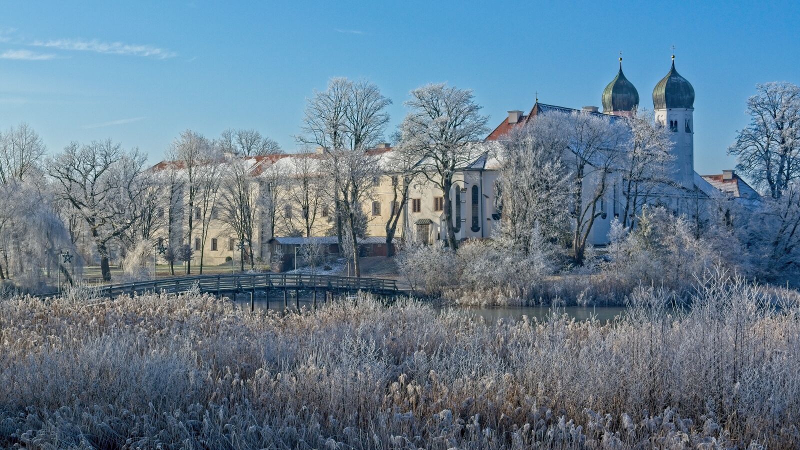 Nikon D7100 sample photo. Winter, frost, cold photography