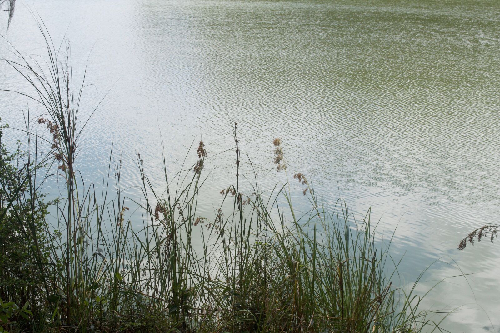 Nikon D3100 sample photo. Water, nature, landscape photography
