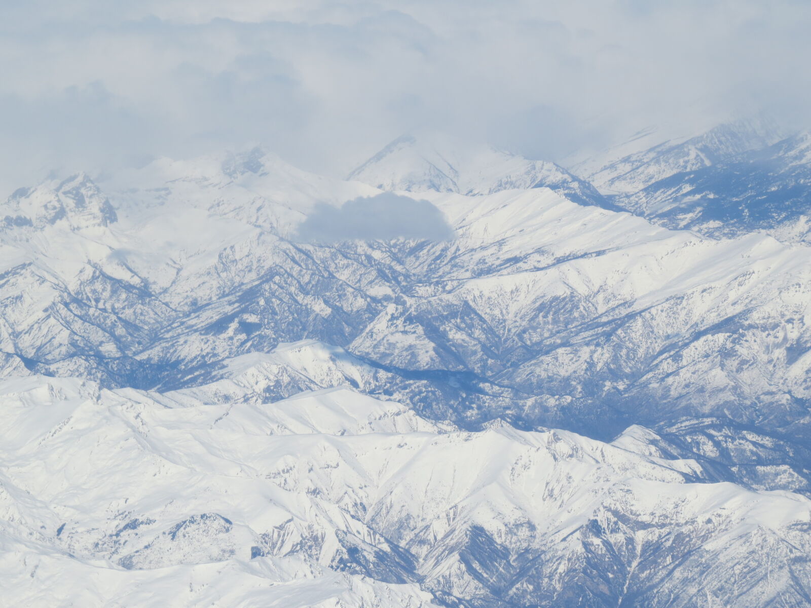 Canon PowerShot SX50 HS sample photo. Alps, bird, s, eye photography