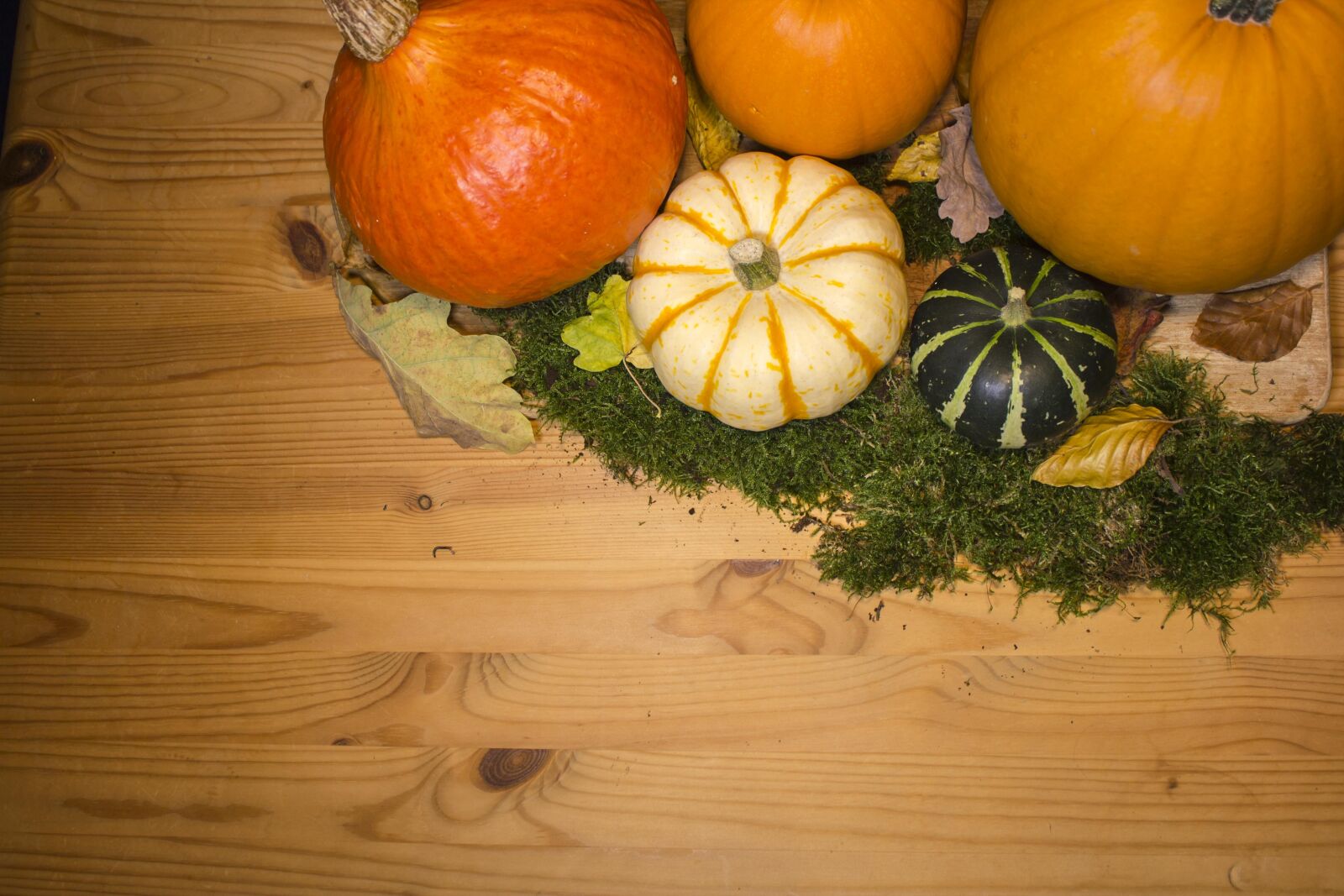 Canon EF-S 18-55mm F3.5-5.6 IS sample photo. Pumpkin, pumpkins, background photography